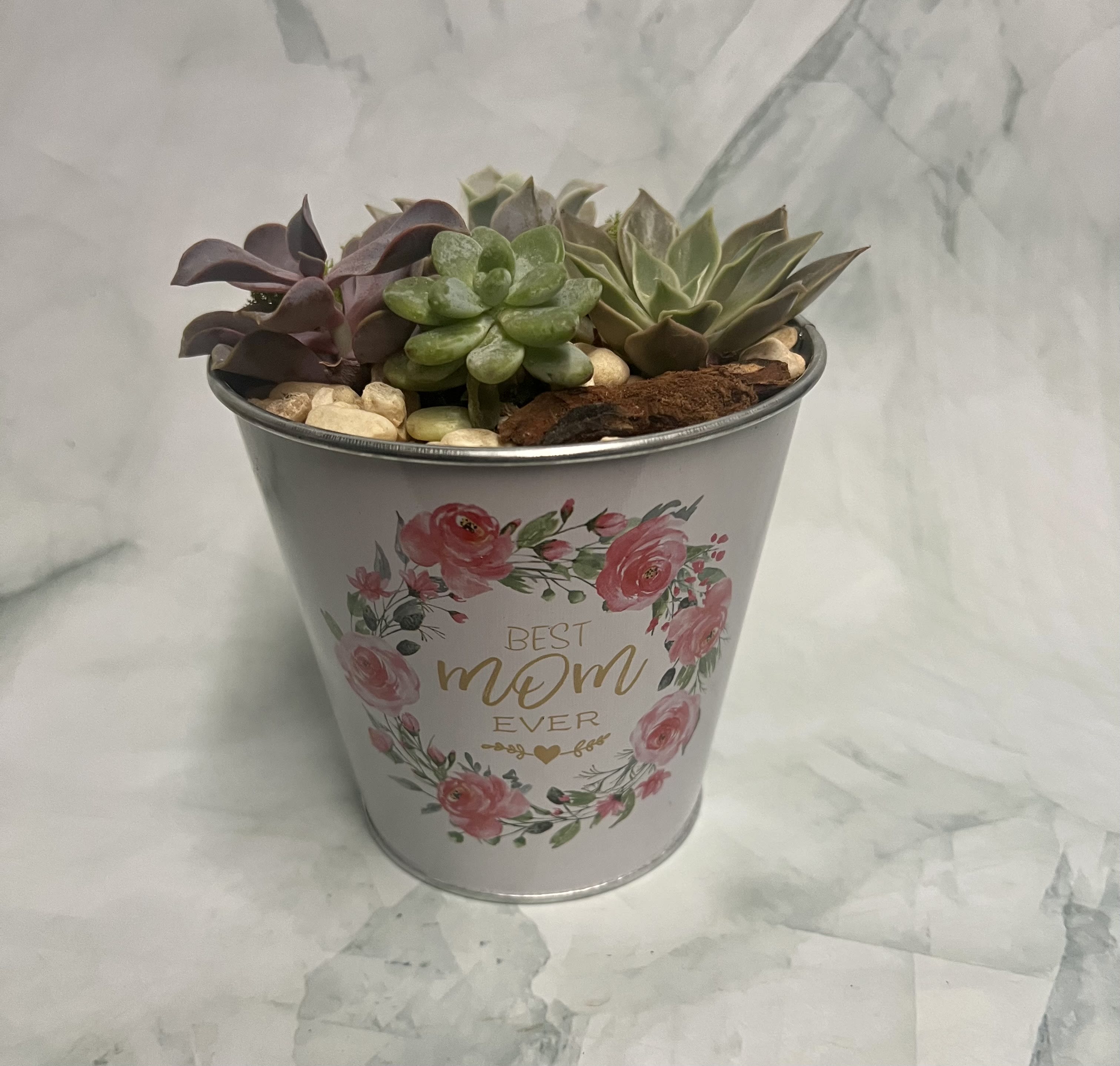 Potted assortment of small succulents in a white floral metal container labeled “Best Mom Ever”.