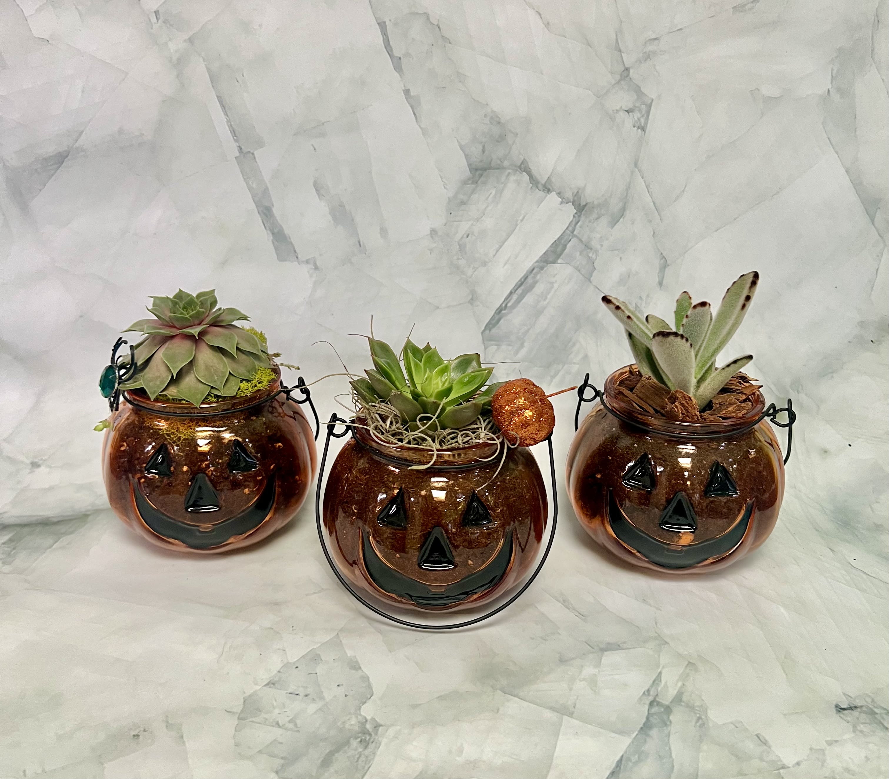 Three pumpkin-shaped glass planters with succulents and Halloween faces