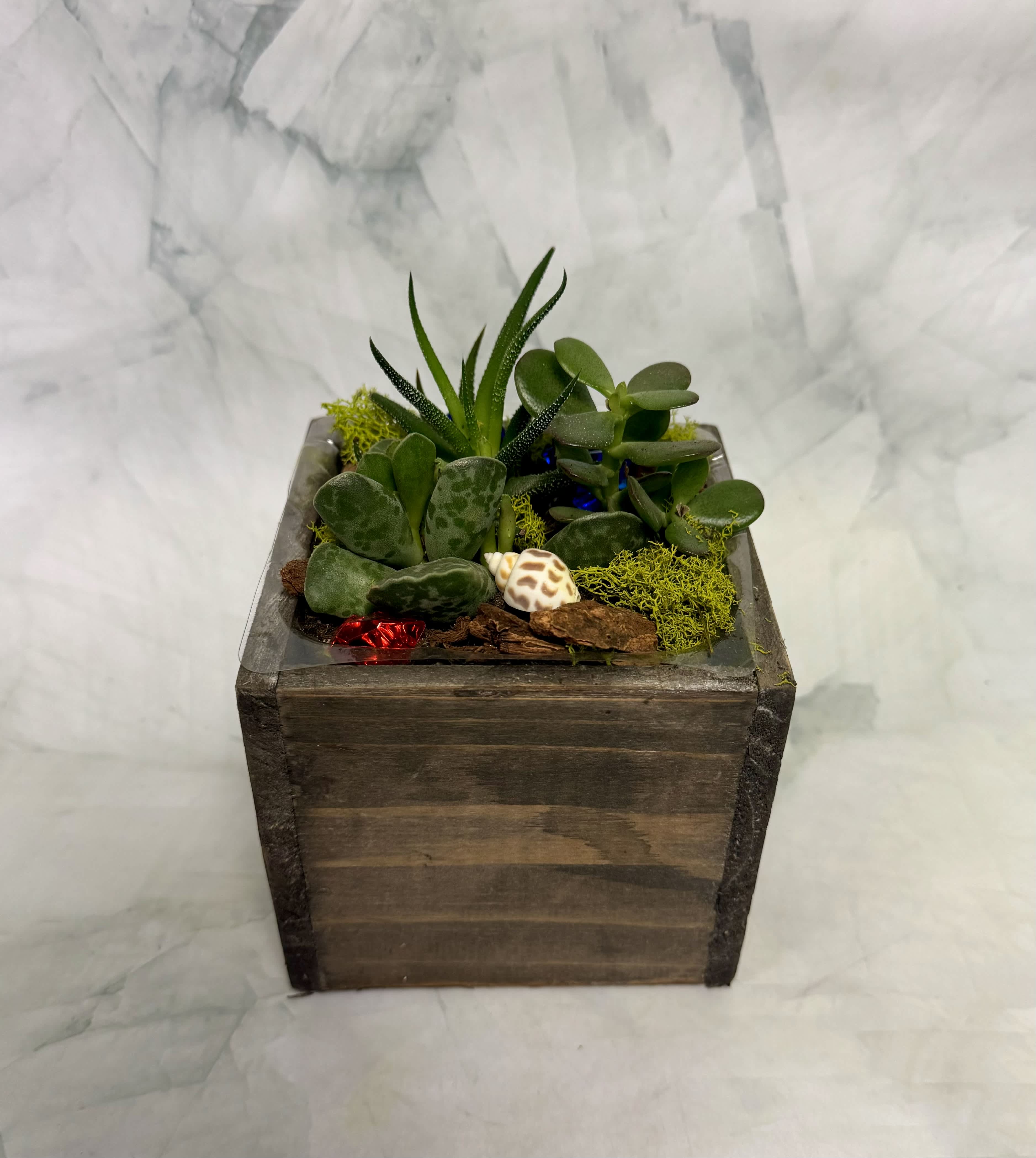 Succulent arrangement in a square wooden planter with decorative moss