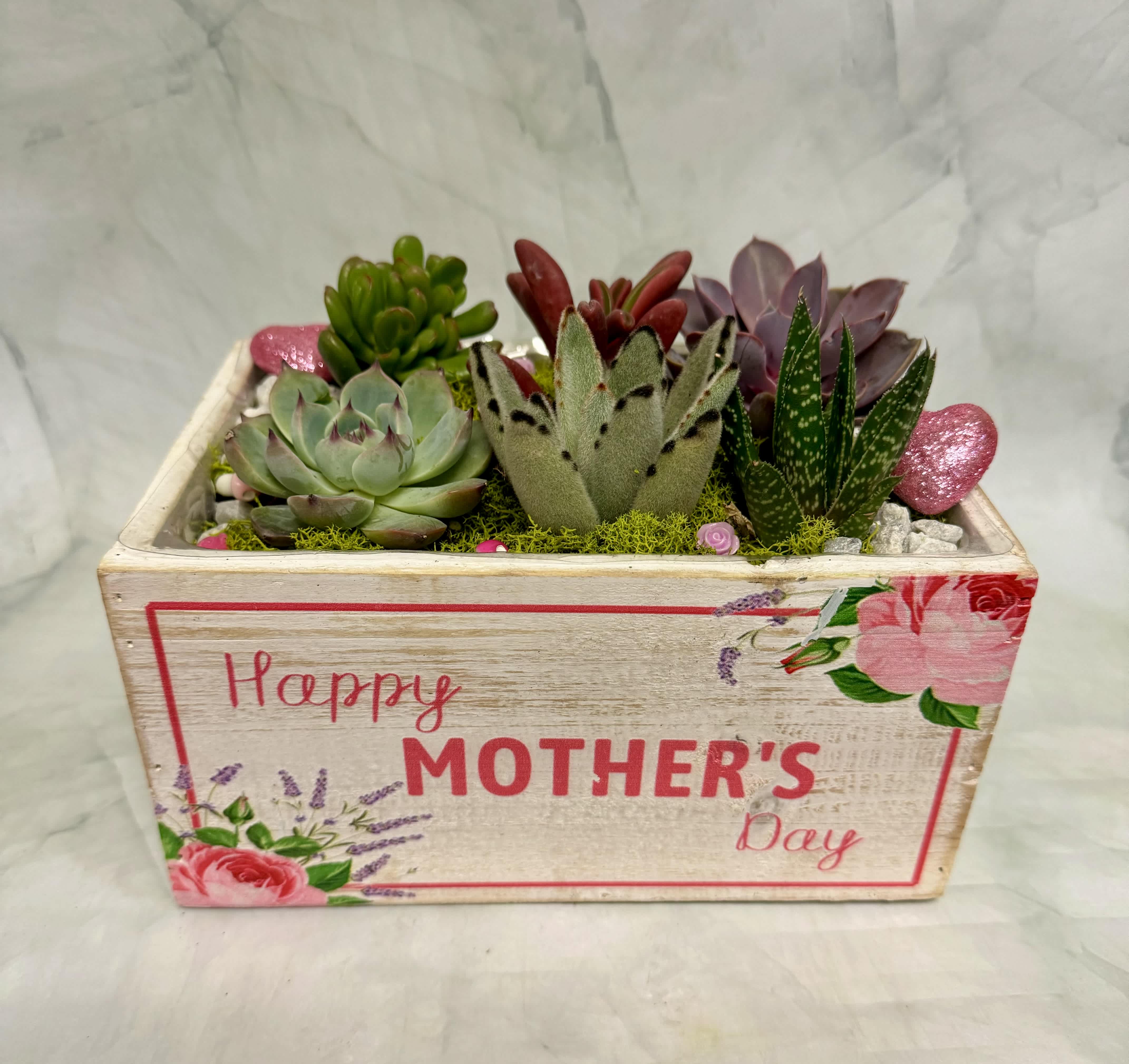 Succulent arrangement in a decorative wooden box labeled Mother's Day