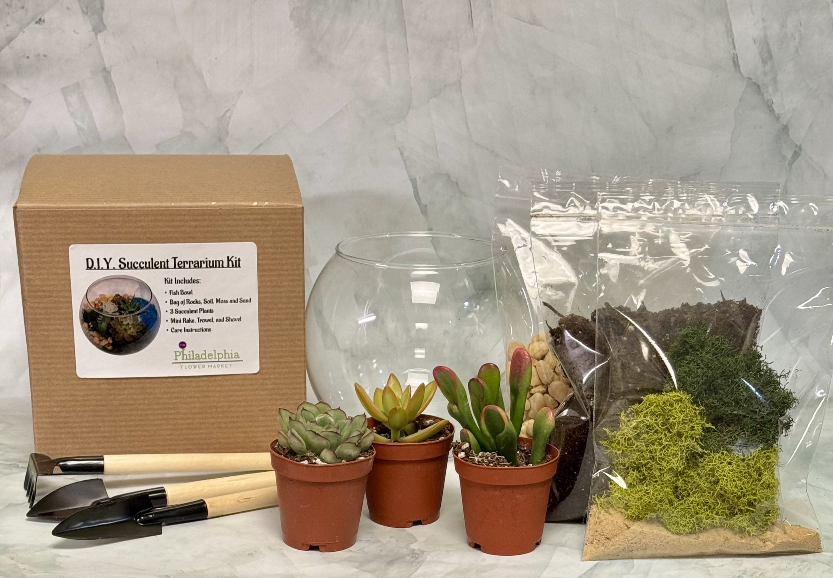 DIY succulent terrarium kit with three potted succulents, glass bowl, soil, moss, rocks, and tools