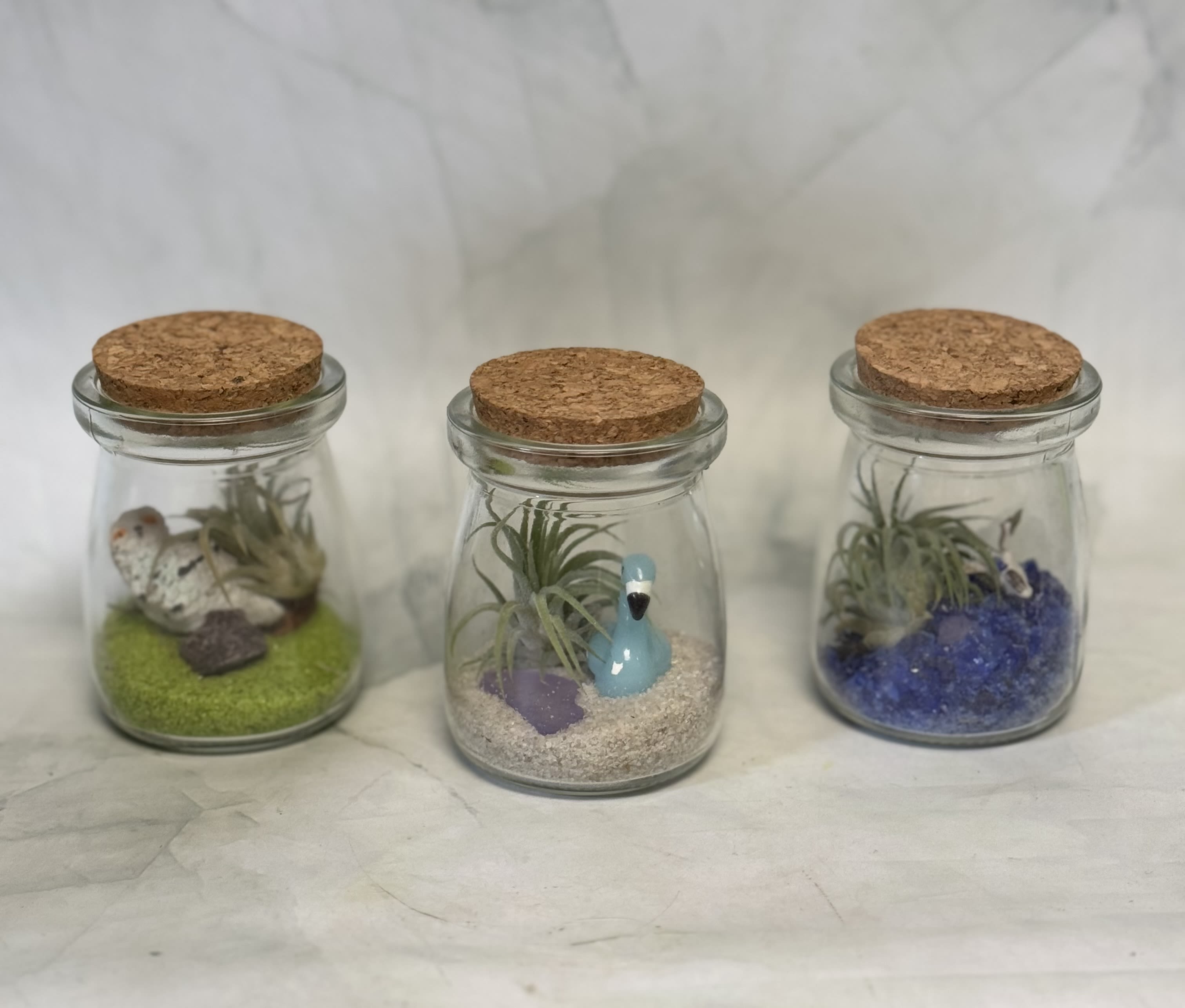 Three small glass jars with cork lids, each holding a tiny air plant and figurine