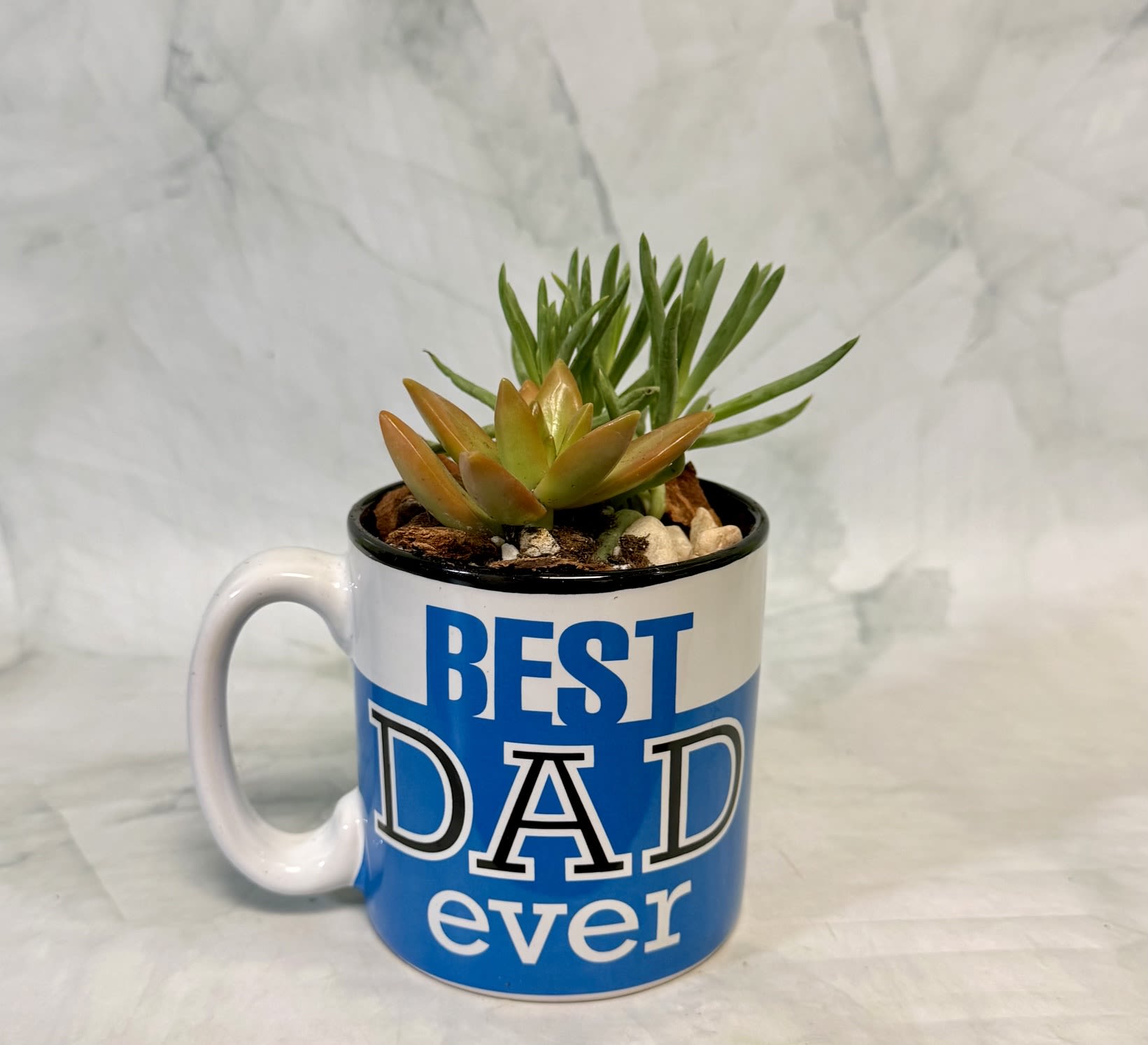 Best Dad Mug Planter - A compact succulent planter arranged in a blue-and-white ceramic mug printed "Best Dad ever" - the perfect Father's Day or appreciation gift that feels casual, thoughtful, and long-lasting. The mug planter reads as a small desk- or tabletop bouquet for dads who prefer low-maintenance greenery; it's a simple way to say thanks that will brighten an office, bedside table, or kitchen counter.  This arrangement pairs a tight rosette succulent with warm green and orange tones alongside a taller spiky succulent for contrast, all set in decorative stones inside the ceramic mug. Colors include blue, white, green and natural stone hues that create a modern, masculine look without fuss. Sized for easy placement, it arrives ready to display and requires only occasional bright light and infrequent watering-ideal for someone who wants living decor without daily care.