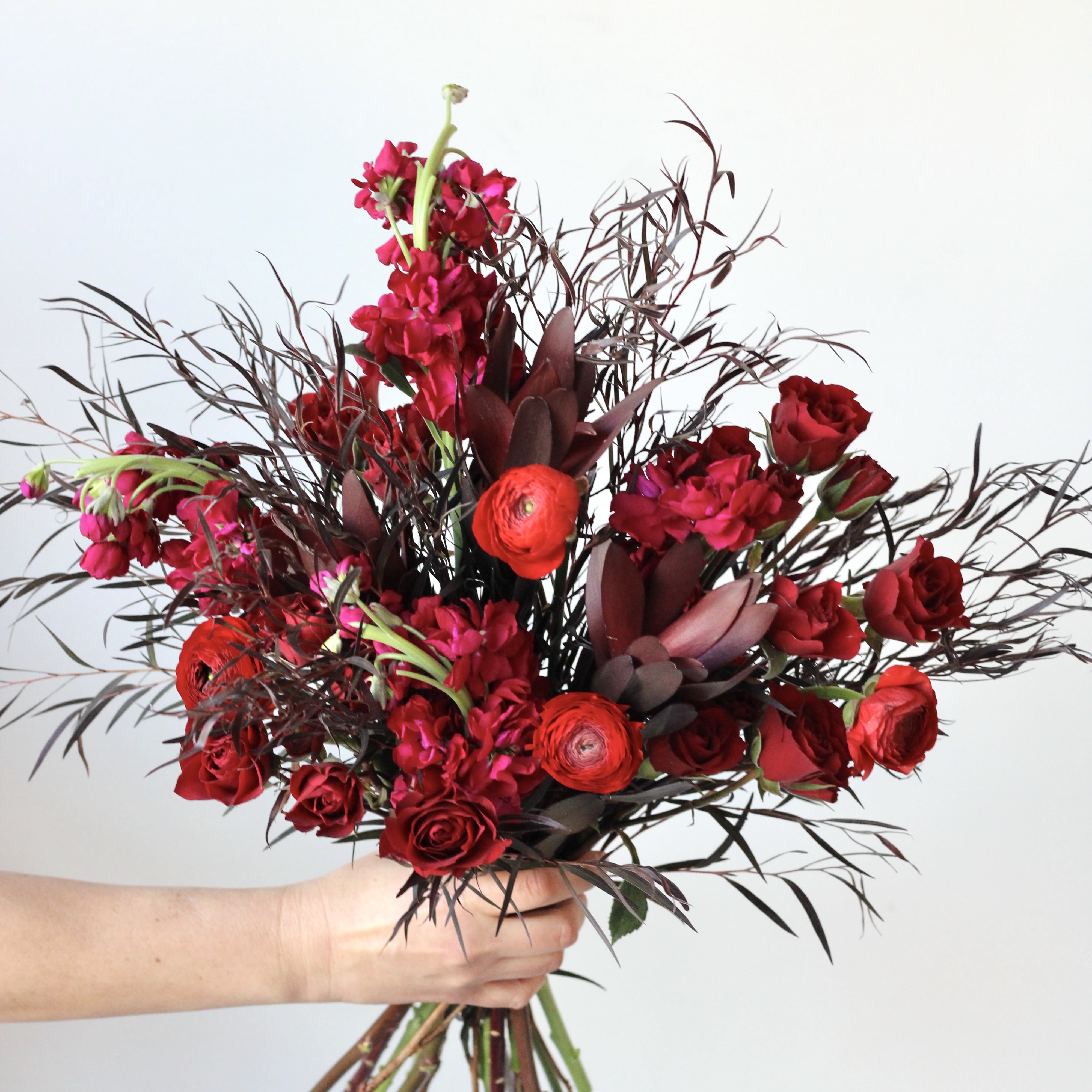 Handheld bouquet of red roses and dark foliage
