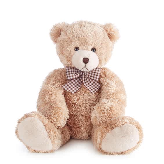 Plush teddy bear with a checkered bow on a white background