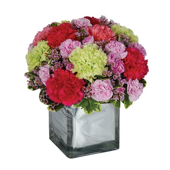 Mixed pink, red, and green carnations in a square glass vase
