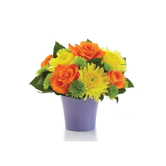 Orange roses and yellow daisies in a purple pot