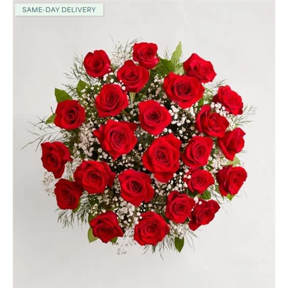 Bouquet of red roses with baby's breath