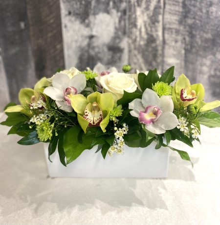 White and green orchid arrangement in a white box