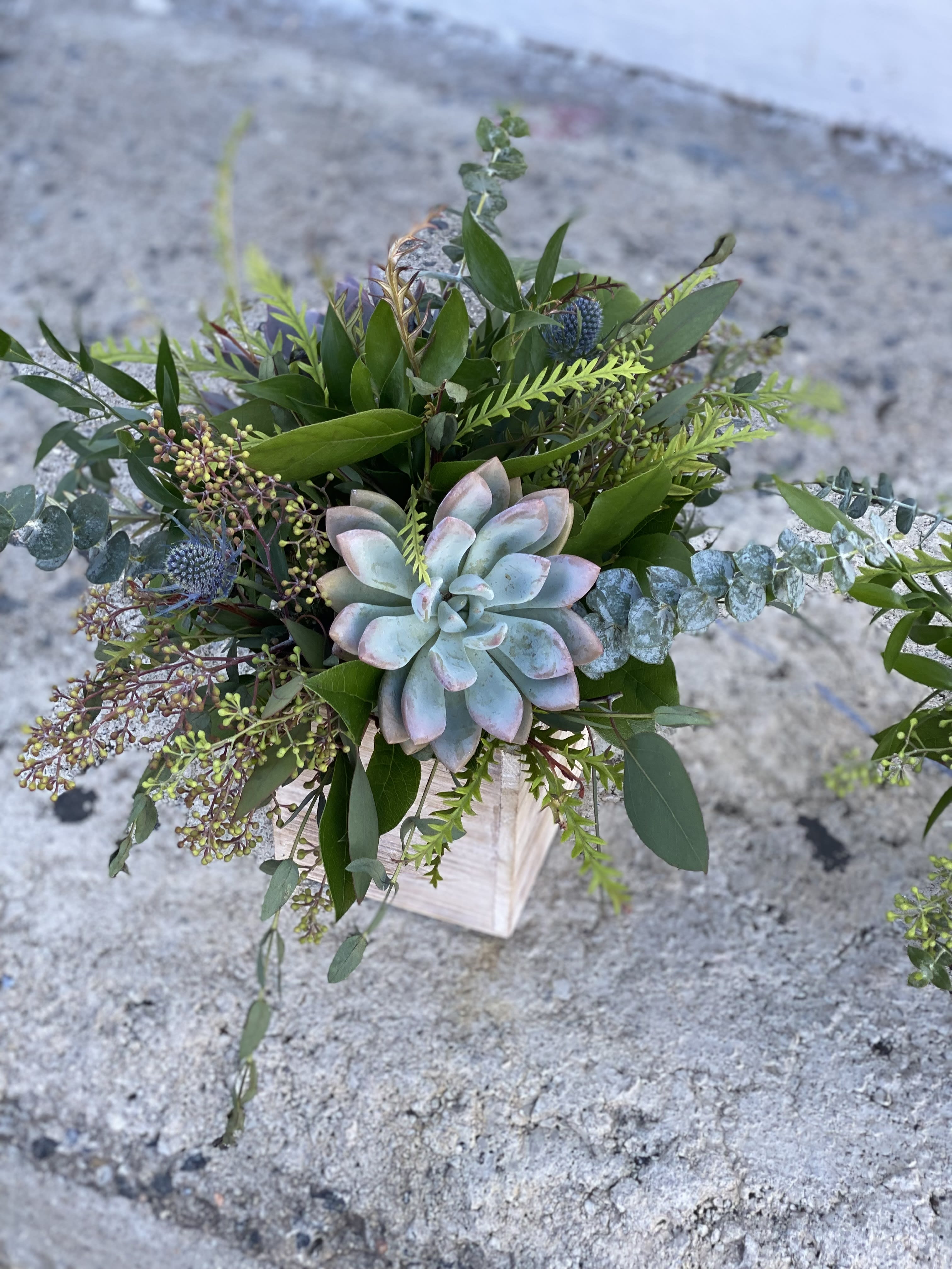 Succulent arrangement with eucalyptus and mixed greenery in a white container