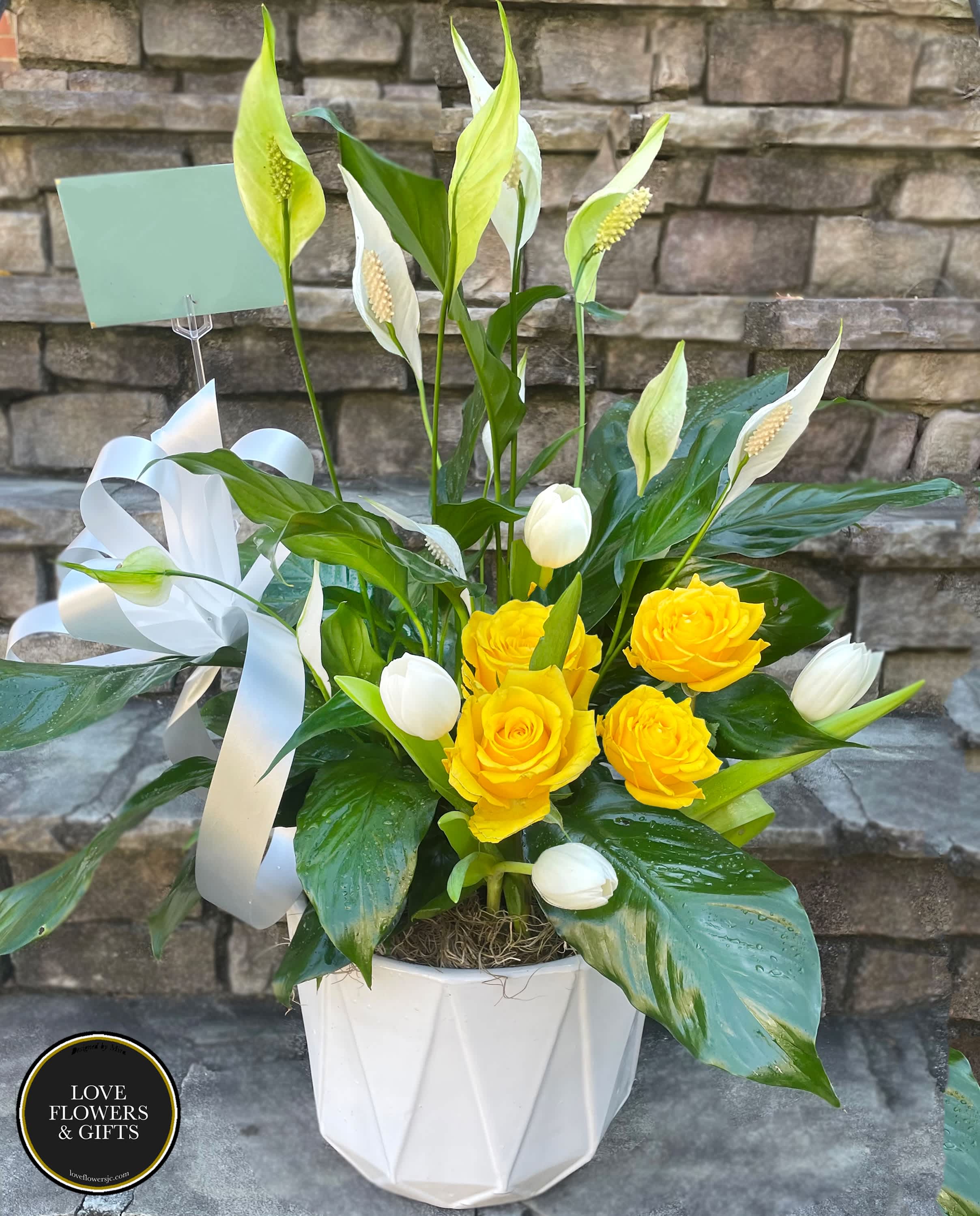 Potted peace lily with yellow roses and white tulips in a white container with ribbon.