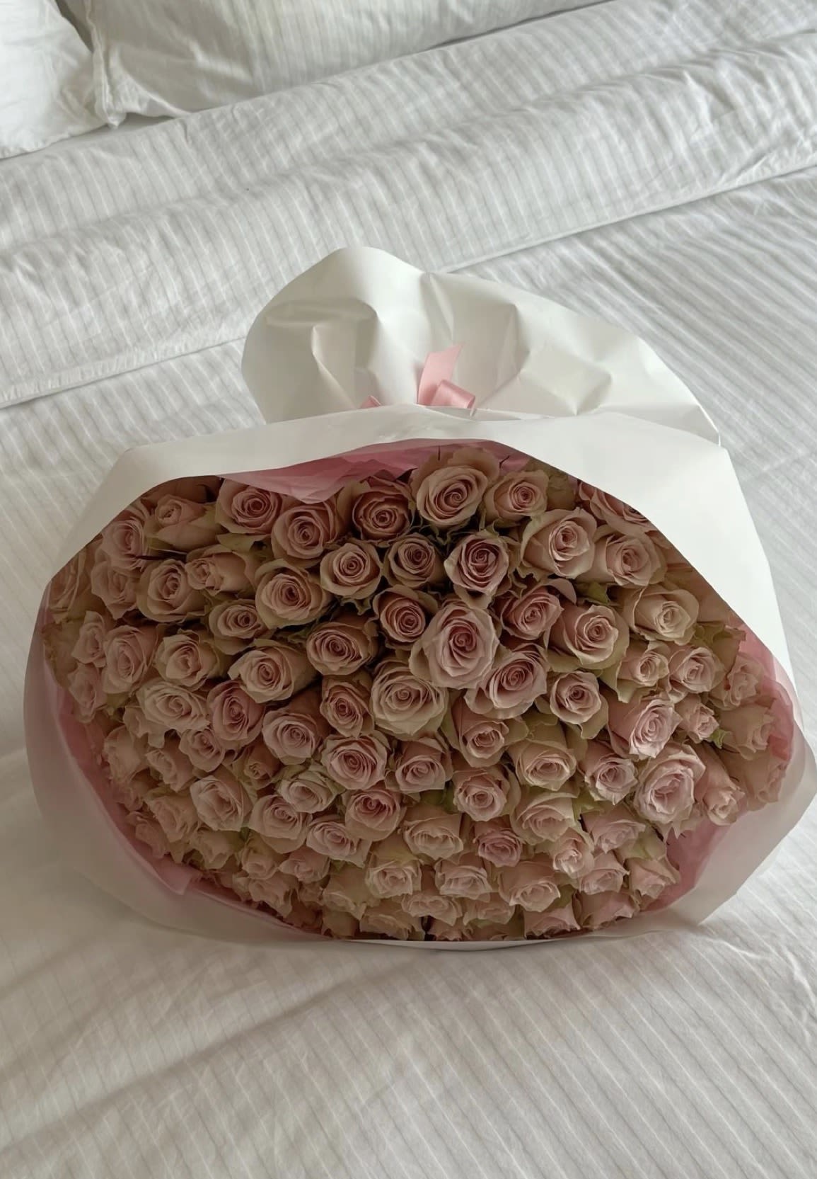 Large bouquet of pale pink roses wrapped in white paper