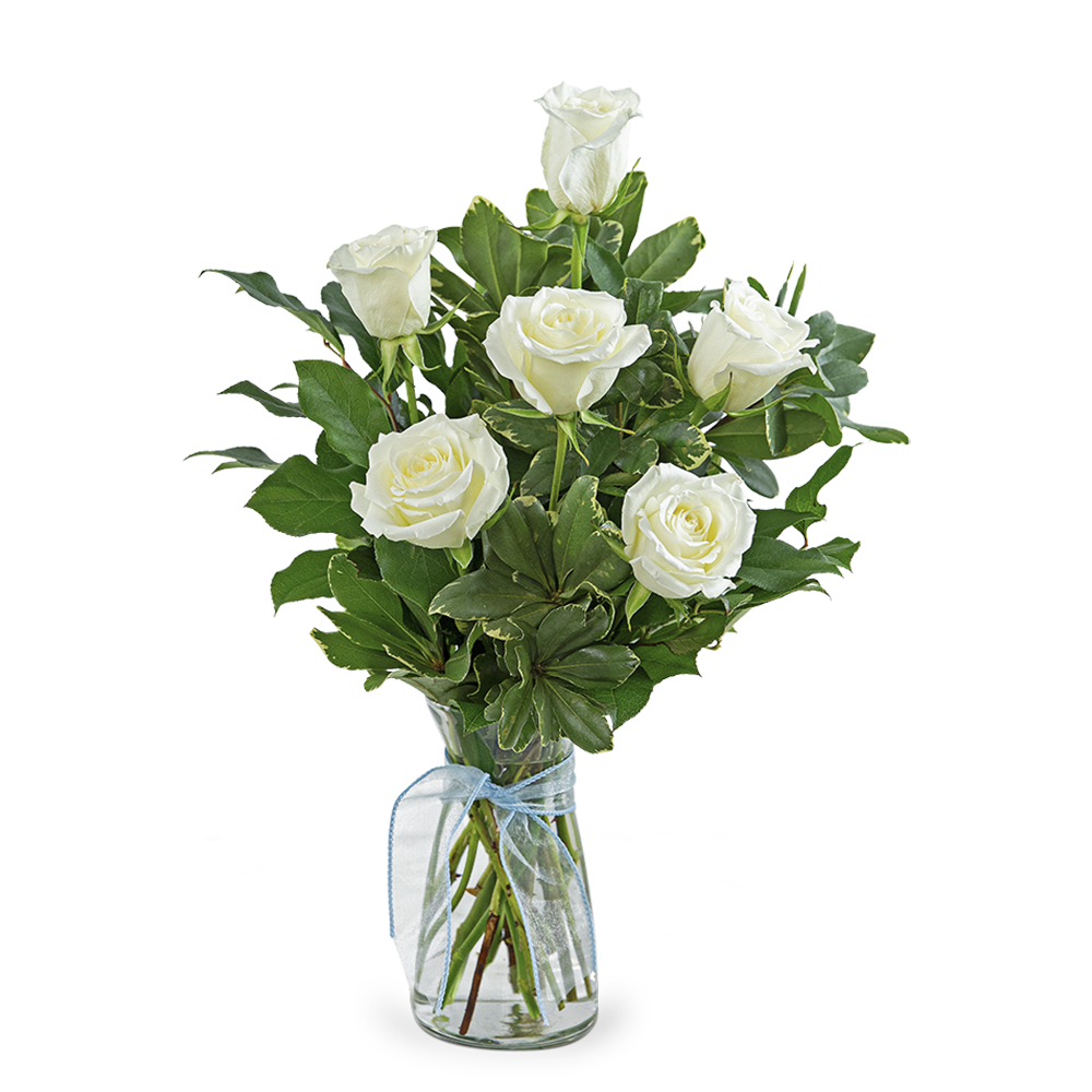 White roses in a glass vase with a blue ribbon