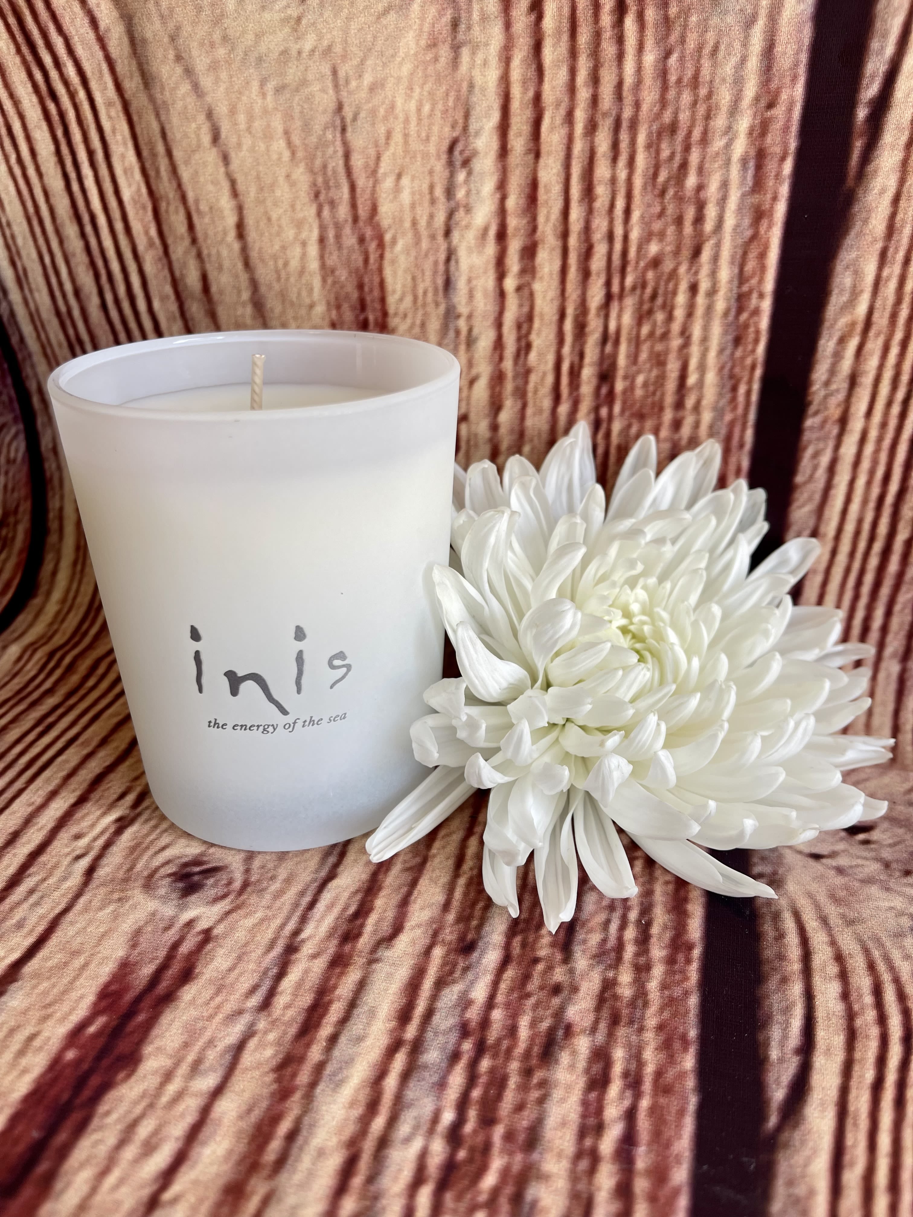 White candle in a frosted glass holder beside a white chrysanthemum bloom