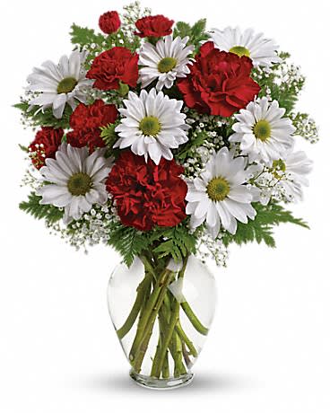 Kindest Heart Bouquet by Teleflora - This eye-catching arrangement of red carnations, white daisies and delicate baby's breath will surprise and delight anyone. Delivered in a clear vase. Approximately 11"W x 14"H All around.