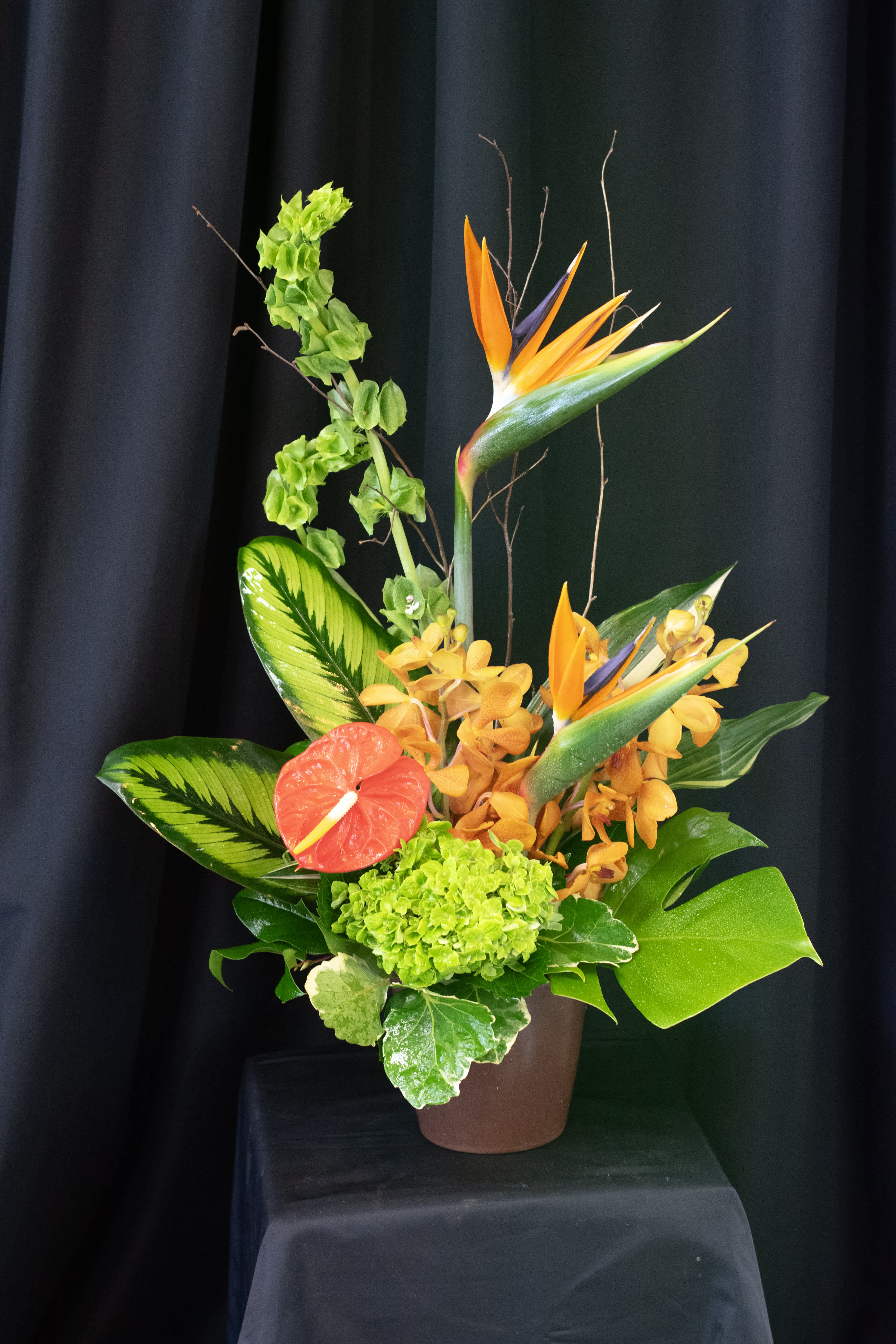 Tropical flower arrangement with orange bird-of-paradise and green hydrangea in a brown pot