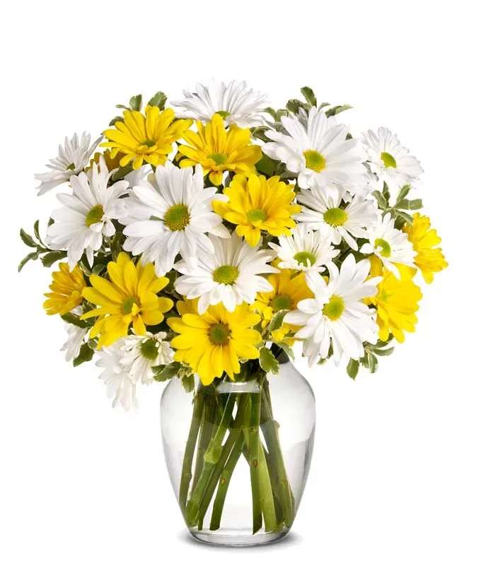 Yellow and white daisy bouquet in a clear glass vase