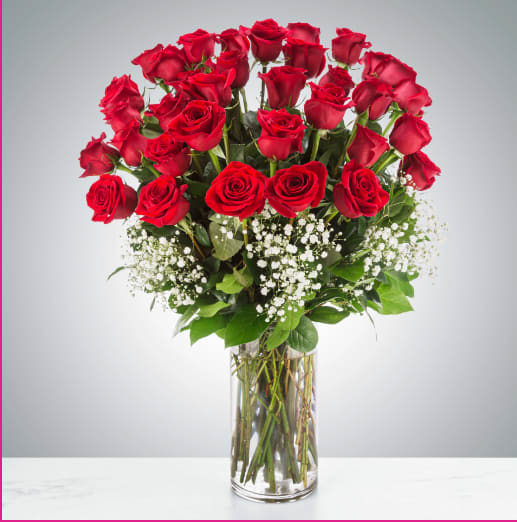 Grandeur Long Stem Rose Arrangement by BloomNation™ - Go big with your love. Send the most extravagant 3 dozen red rose arrangement for Valentine's day, anniversary celebrations, or declarations of love. This luxury arrangement makes a big statement of "I love you" in 36 roses. 