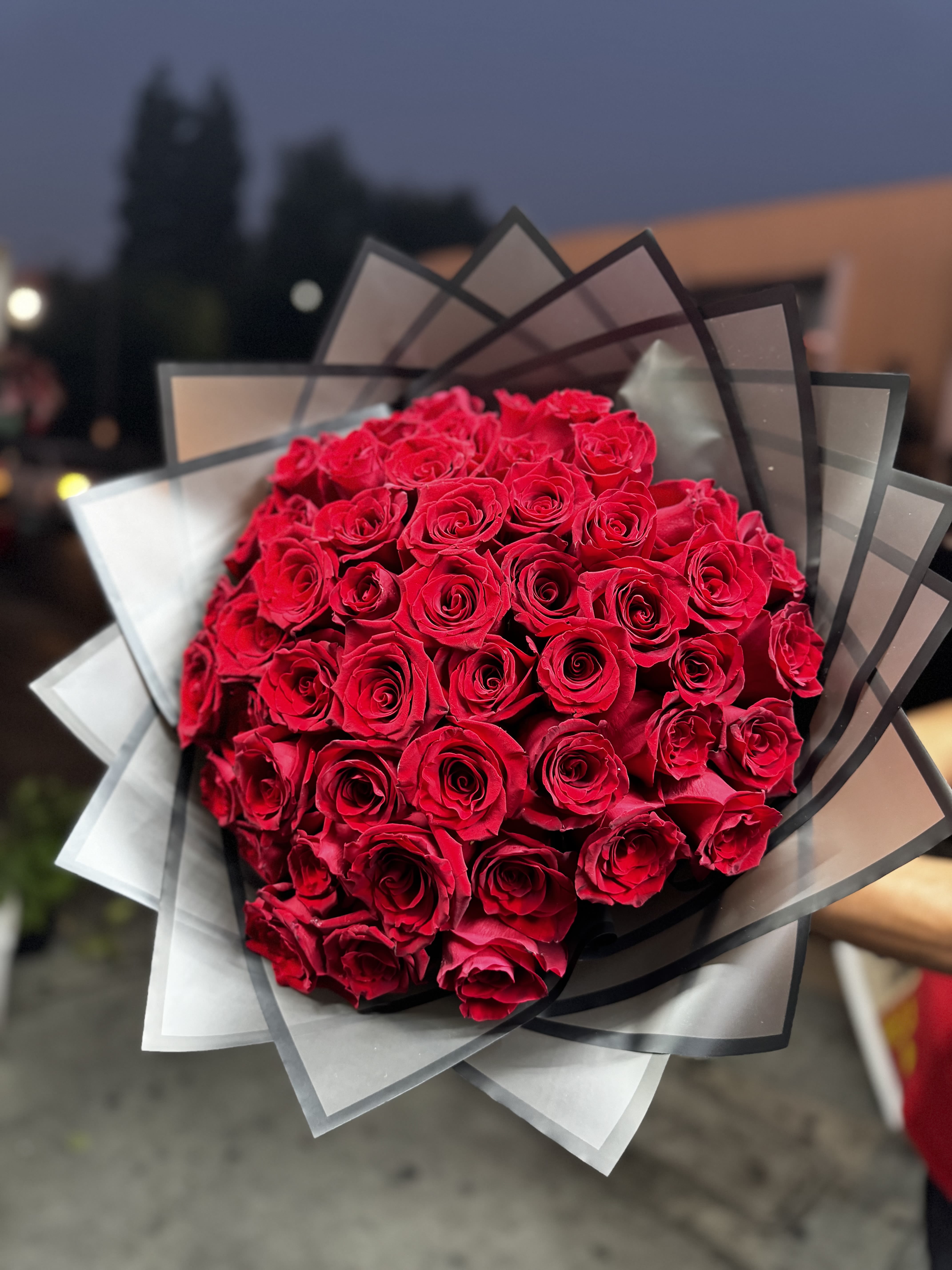 Bouquet of red roses wrapped in translucent black and white paper