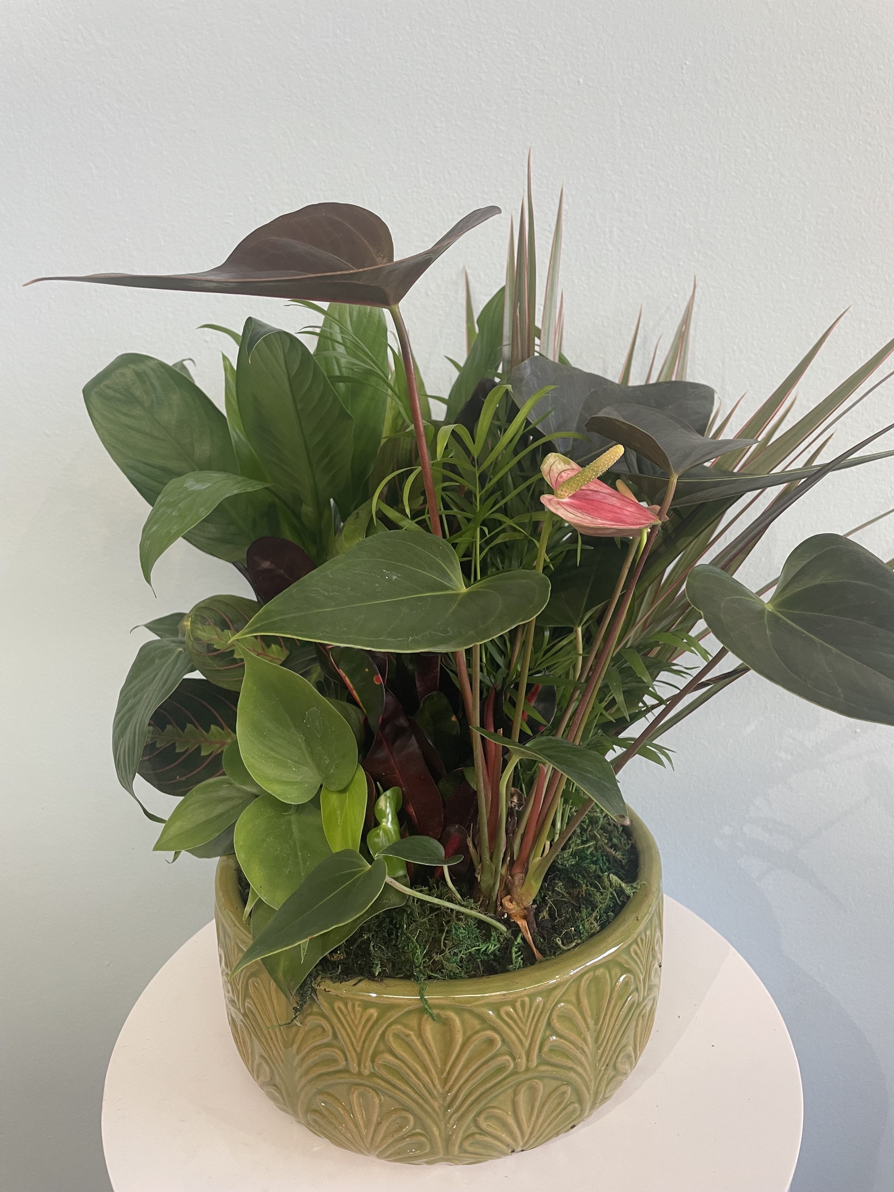 Tropical plant arrangement in a patterned ceramic pot with a pink anthurium bloom