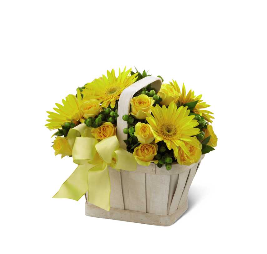 Uplifting Moments Bouquet - Uplifting Moments Bouquet is a wonderful way to convey your deepest condolences for their loss. Bright yellow gerbera daisies and spray roses burst with sunlit sweetness arranged amongst green hypericum berries and myrtle greens in a  basket. Accented with a lemon yellow wired ribbon this bouquet is a symbol of light and hope that will brighten their day.