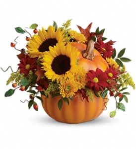  Pretty Pumpkin Bouquet - The bright autumn bouquet includes sunflowers, yellow cushion spray chrysanthemums, red daisy spray chrysanthemums, solidago, huckleberry and curly willow. Delivered in a hand-painted ceramic pumpkin. 