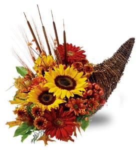 Country Cornucopia - Red gerberas, sunflowers, bronze chrysanthemums, plumosus and accents of bittersweet, cattails, fall foliage, natural wheat and decorative grapes arrive overflowing from a wicker cornucopia