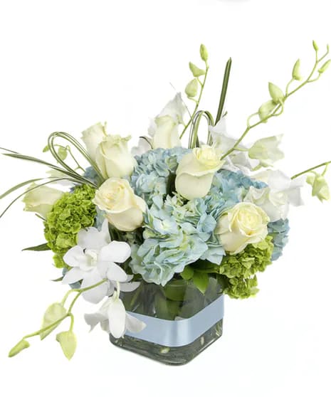 Baby Blue Blooms  - Baby Blue Blooms is a charming fresh flower arrangement designed to celebrate the arrival of a precious baby boy. Soft blue and green hydrangea are beautifully paired with elegant white roses and delicate white orchids, all thoughtfully arranged in a modern glass cube for a timeless and sophisticated look. Handcrafted by our expert florists, this fresh floral gift is a wonderful way to congratulate new parents, welcome a little one, or brighten a hospital room or nursery. With its calming color palette and graceful design, Baby Blue Blooms is a heartfelt keepsake that beautifully honors one of life's most joyful moments.