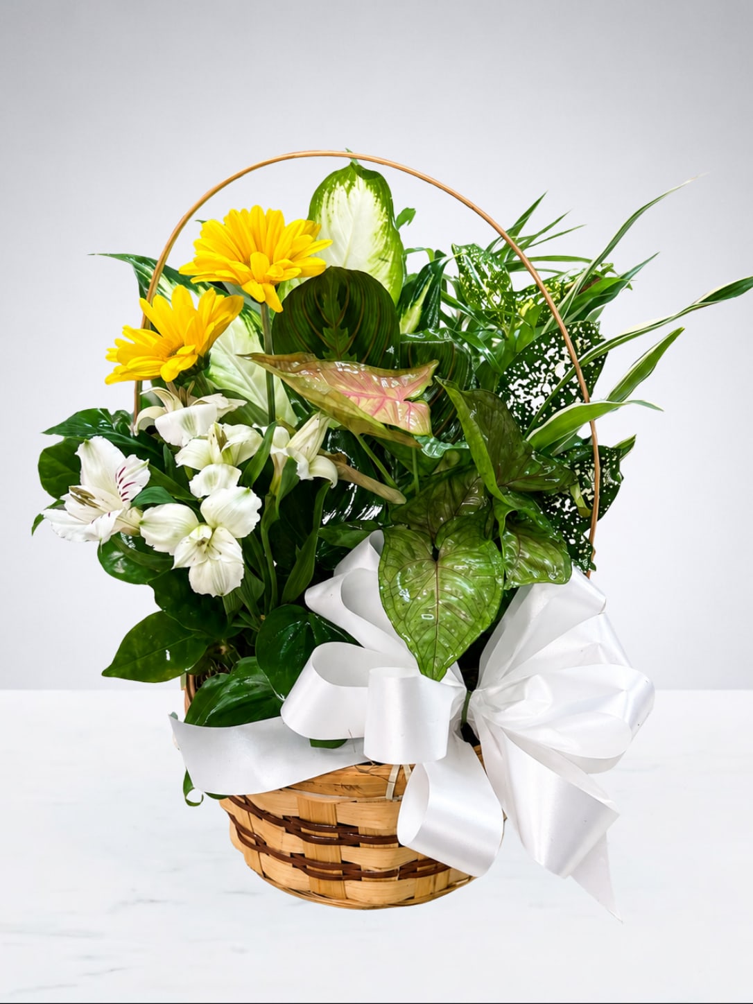 Basket arrangement with yellow daisies, white lilies, and a white ribbon bow