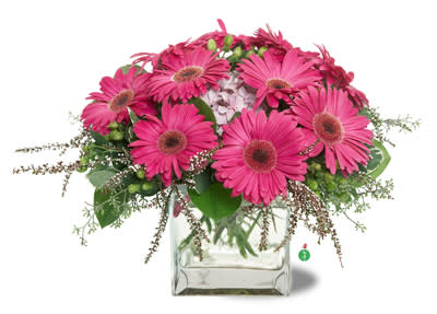 Pink gerbera daisy bouquet in a clear square vase