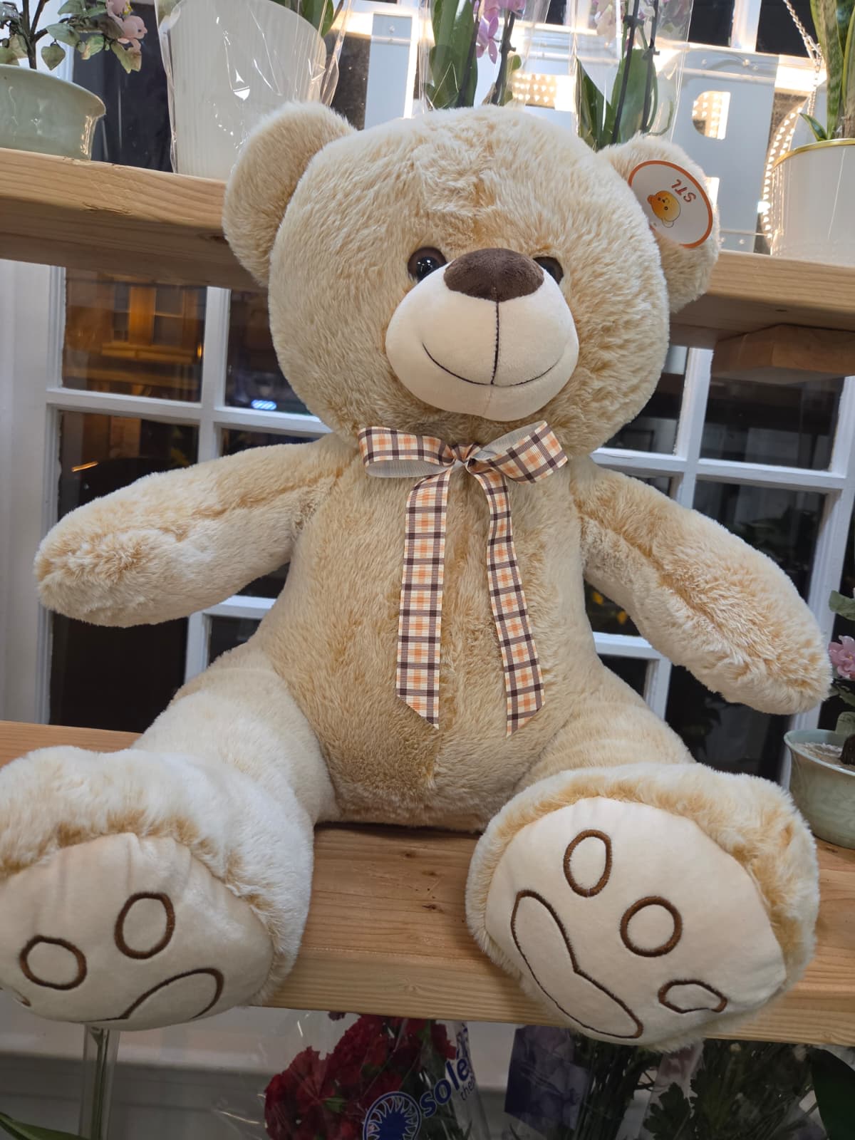 Large beige teddy bear with a plaid bow sitting on a wooden shelf