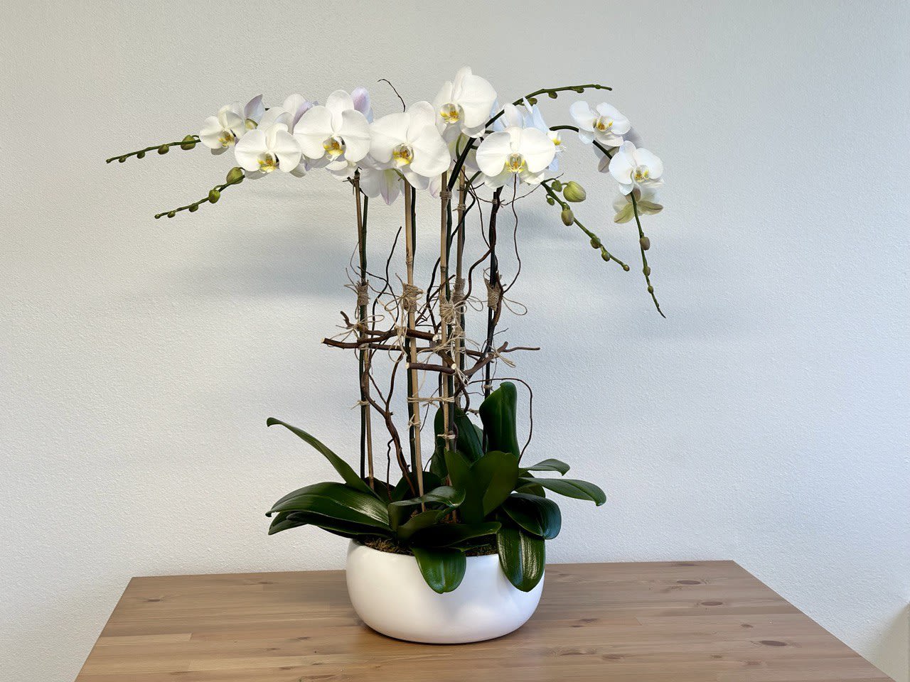 White orchid arrangement in a round white pot