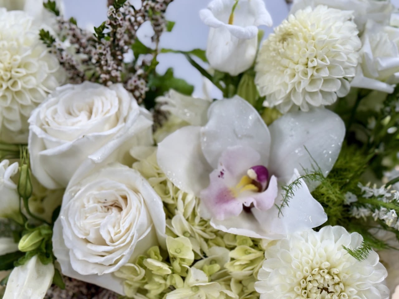 White roses and dahlias with a pale orchid in a floral arrangement