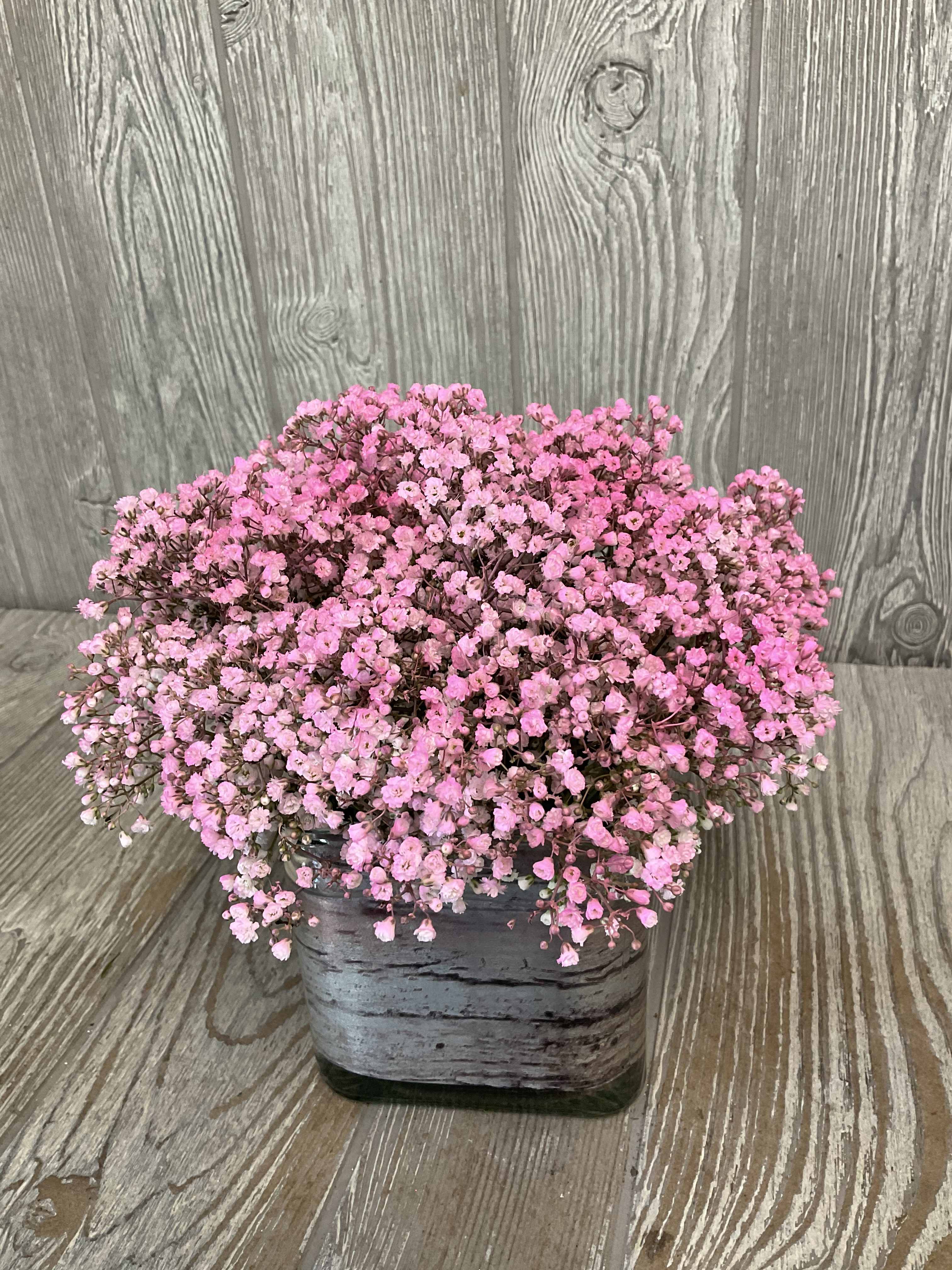Pink baby's breath arrangement in a square gray container
