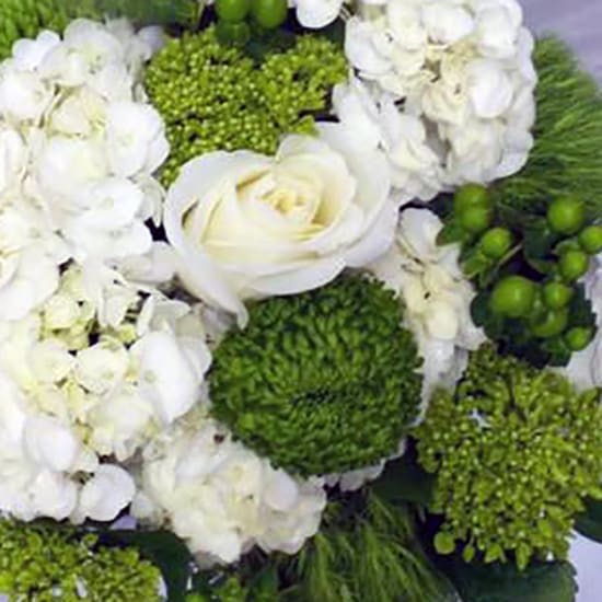 White flowers with green pom-pom blooms in a compact arrangement