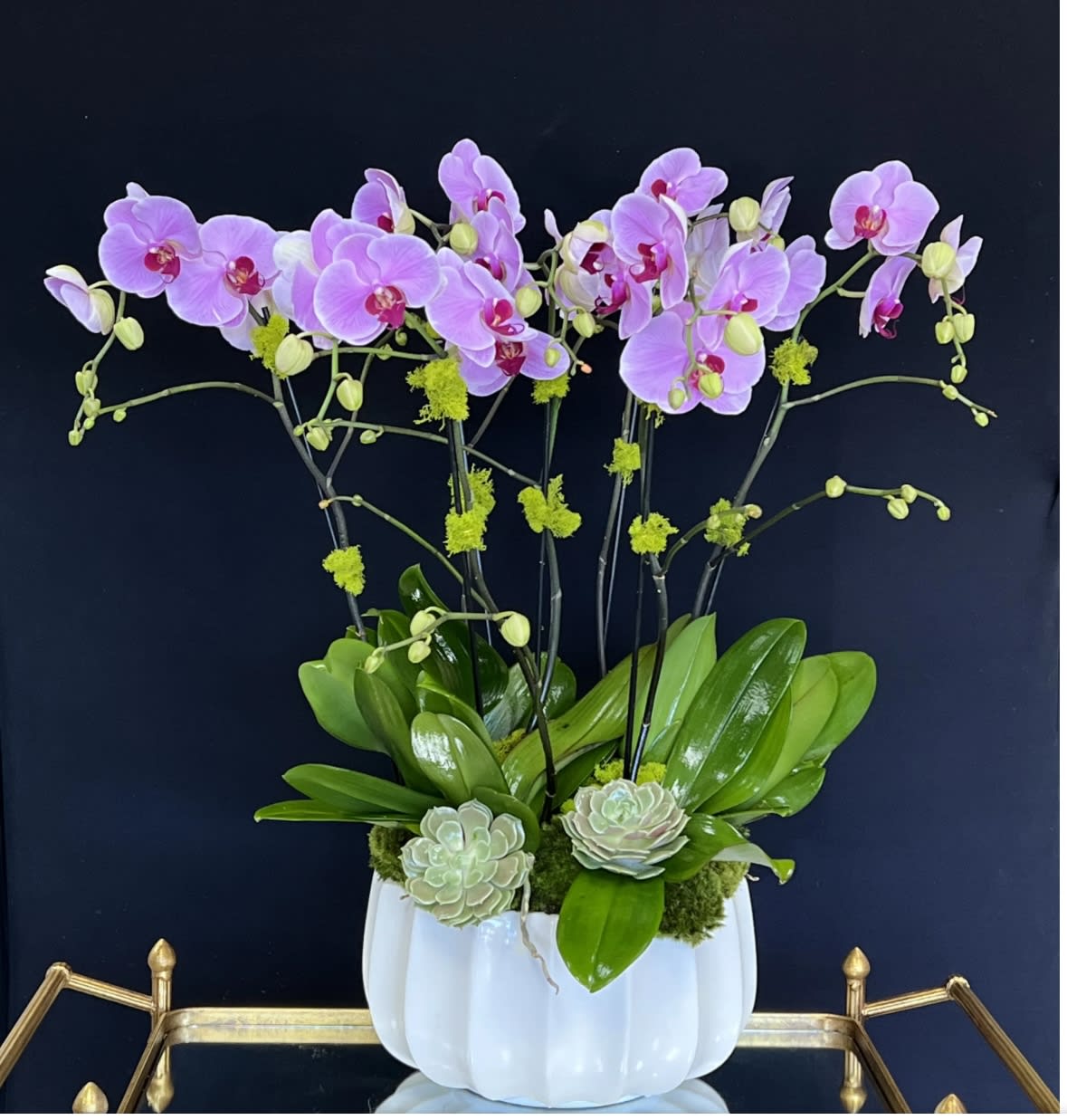 Pink orchid arrangement in a white ceramic pot with succulents