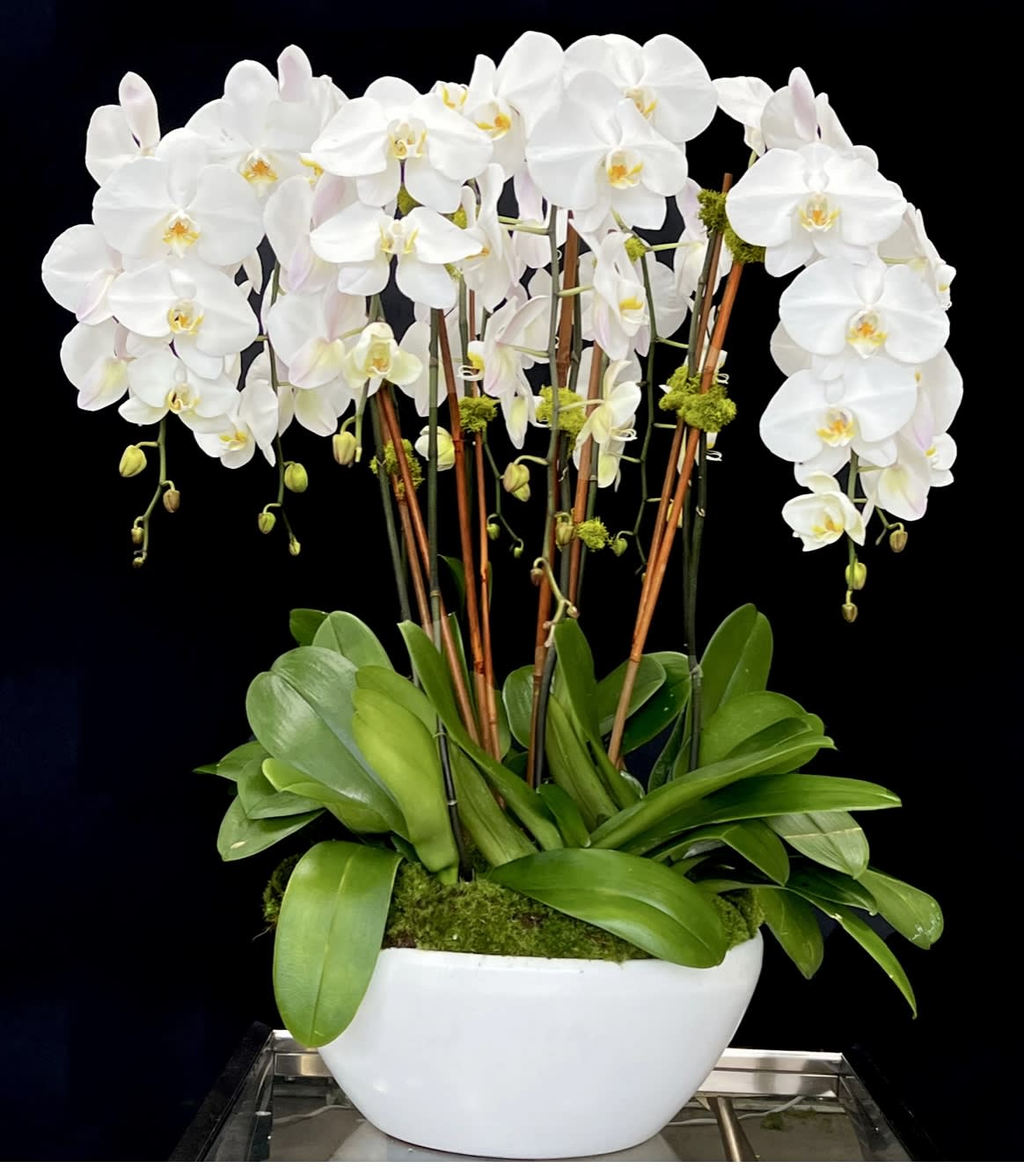White orchid arrangement in a white bowl planter