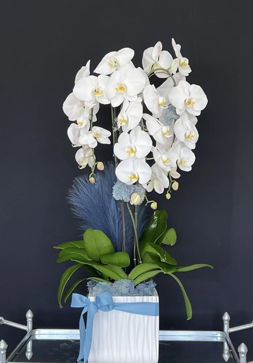 White orchid arrangement in a white vase with a blue ribbon