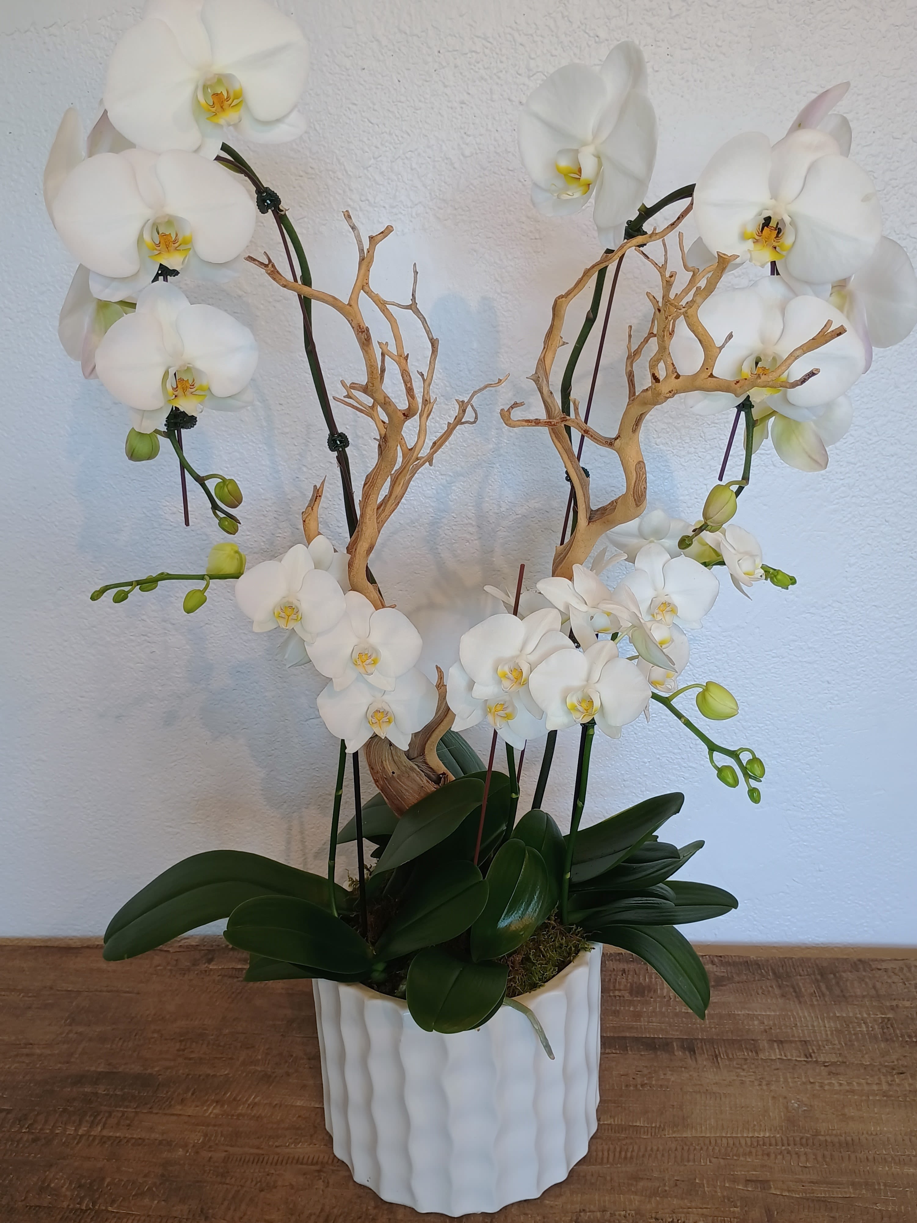 White orchids arranged in a white ceramic pot with decorative branches