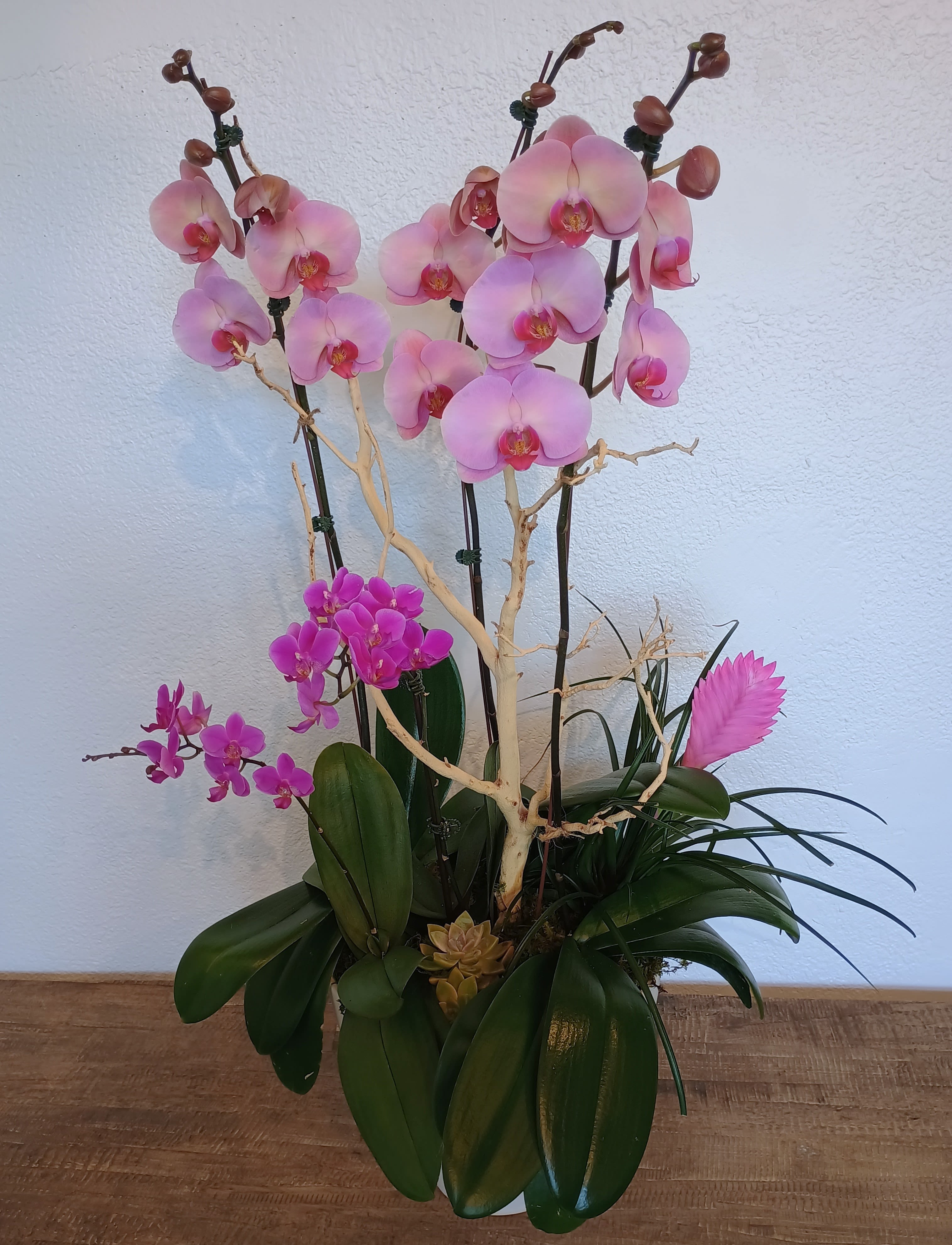 Pink orchids arranged in a white planter with broad green leaves
