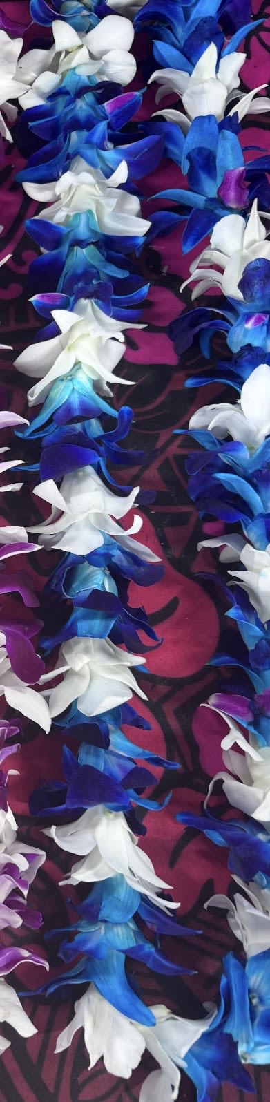 Blue Orchid Flower Lei - Electric-blue orchid leis that read like a bold island celebration - perfect as a birthday lei, graduation garland, or luau accessory for the person you want to make feel honored. These long flower leis bring a tropical, festive energy; the cool-toned palette of blue, purple, white, and soft pink catches the eye and makes the wearer feel seen and celebrated whether worn to a ceremony or used as striking event décor.  Wear one to mark graduations, weddings, or cultural celebrations where a ceremonial lei is fitting, or use multiple as colorful accents for tables and entryways at a party. If you need guidance on length or how many leis to order for a group, our team is happy to help you choose the right number to achieve the bold, island-inspired look you want.