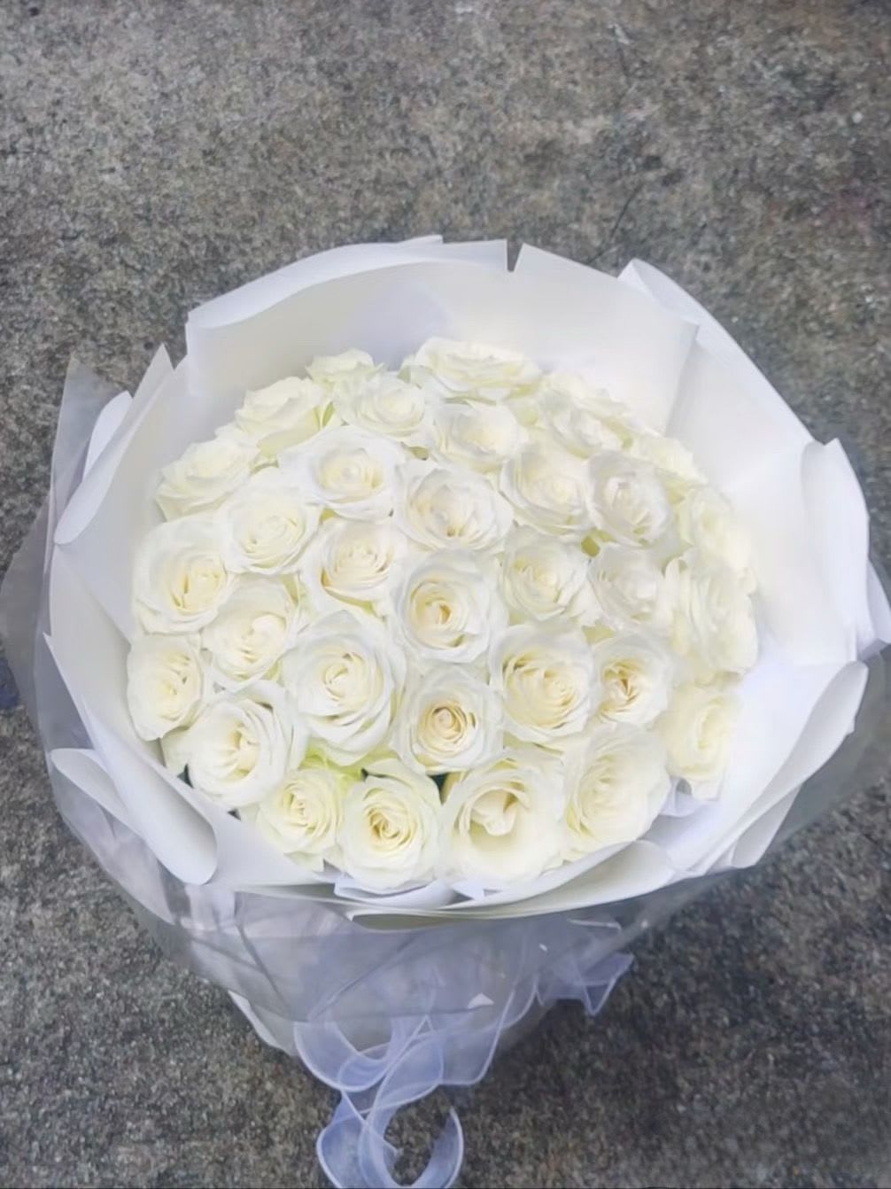 Bouquet of white roses wrapped in white paper with a sheer ribbon
