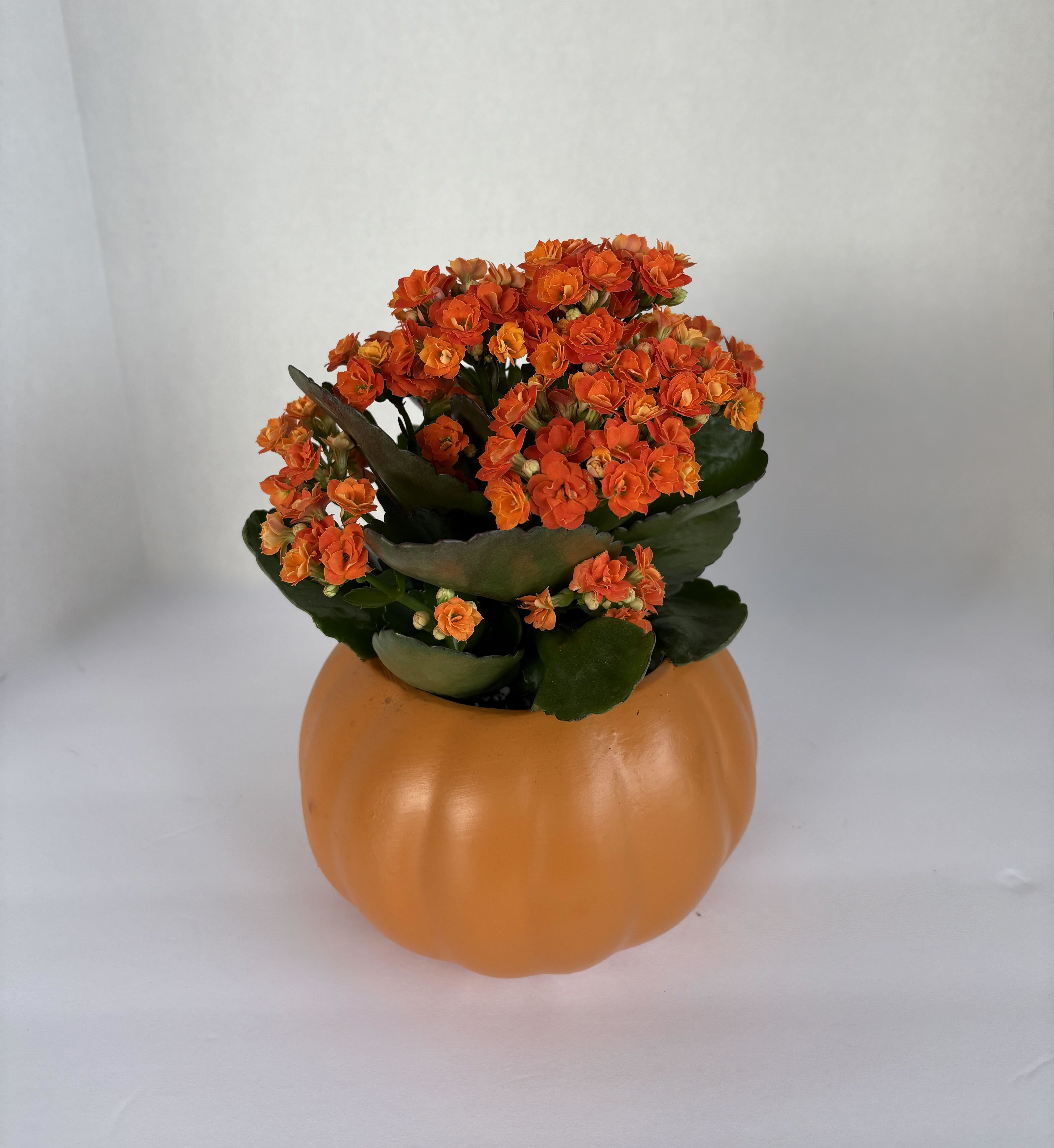 Orange flowers arranged in a pumpkin-shaped container