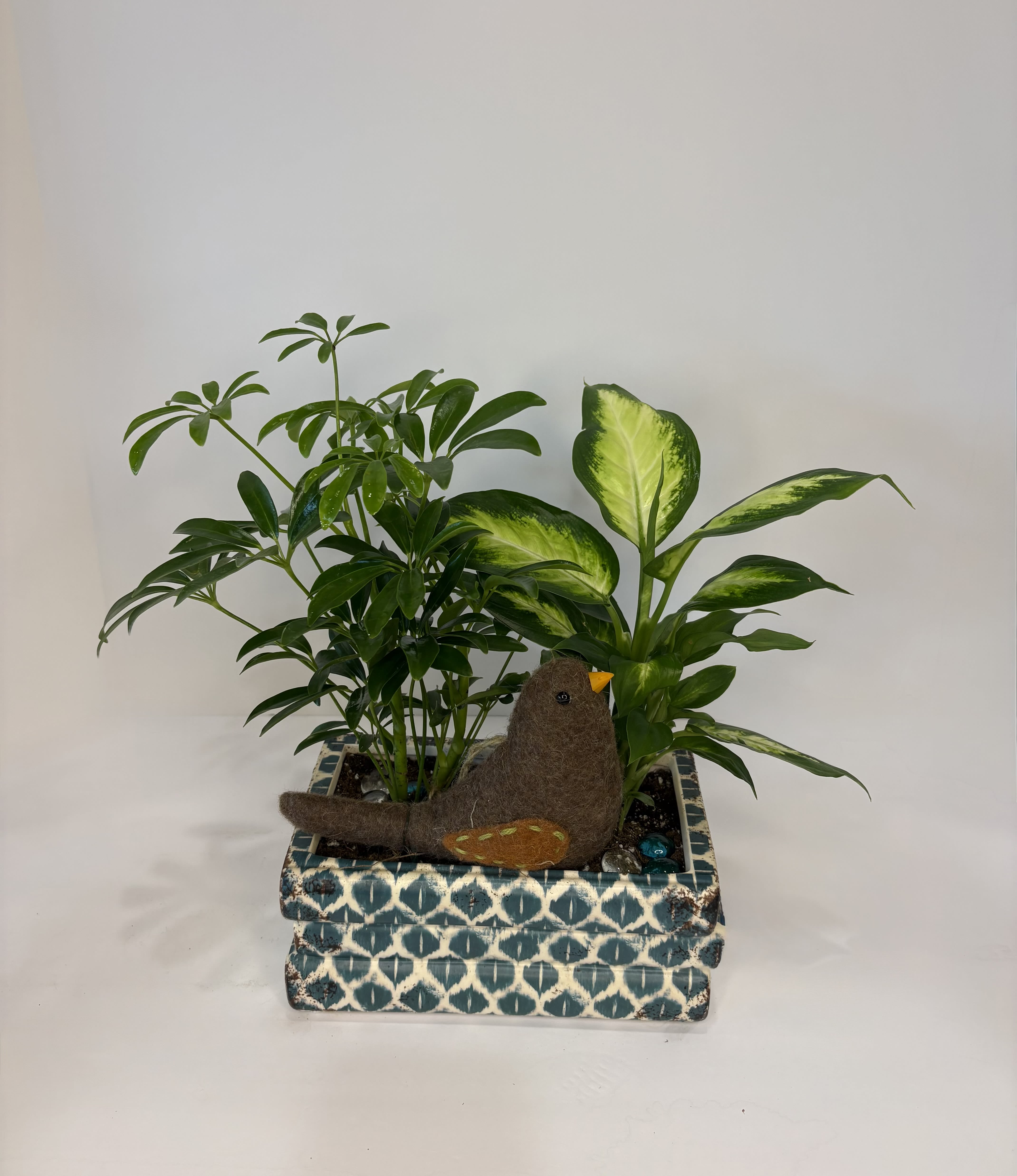 Book Club Planter - Book Club Planter consists of 2 small green plants in a book-shaped planter pot with a felted bird keepsake for the book, bird, and plant lover in your life! This planter is in limited supply; only 3 in store!