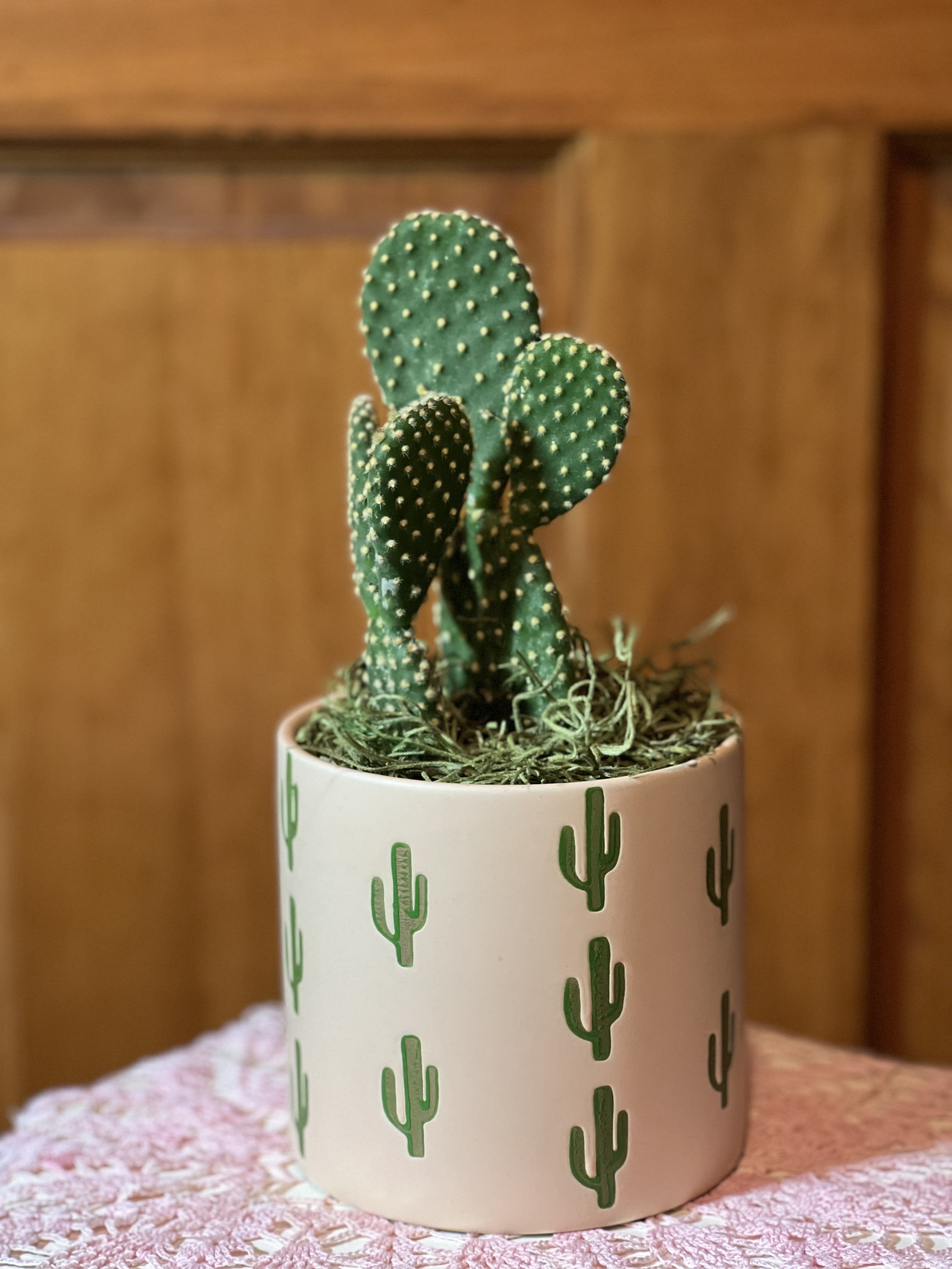 Small cactus in a white pot with green cactus prints