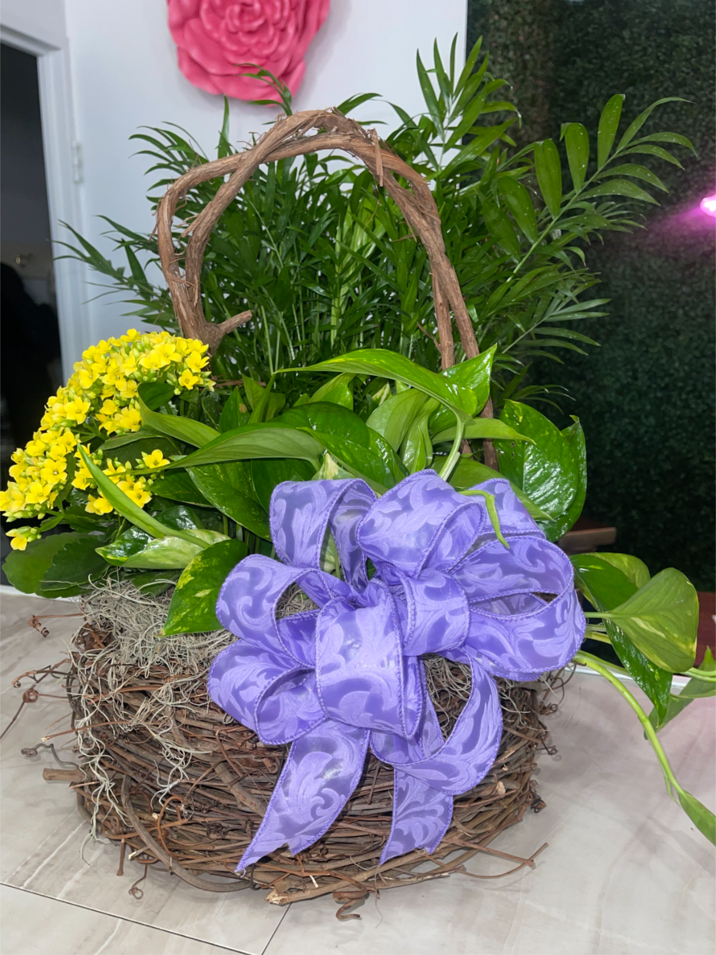 Thinking of you Dish Garden Basket - A deep green fresh plant filled basket to bring life and peace to any space. A perfect way to show they are in your thoughts. Plants may change based off of season and availability.   Bows will be changed with occasion unless you like the bow color please state which color you would like in the order comments at check out (: