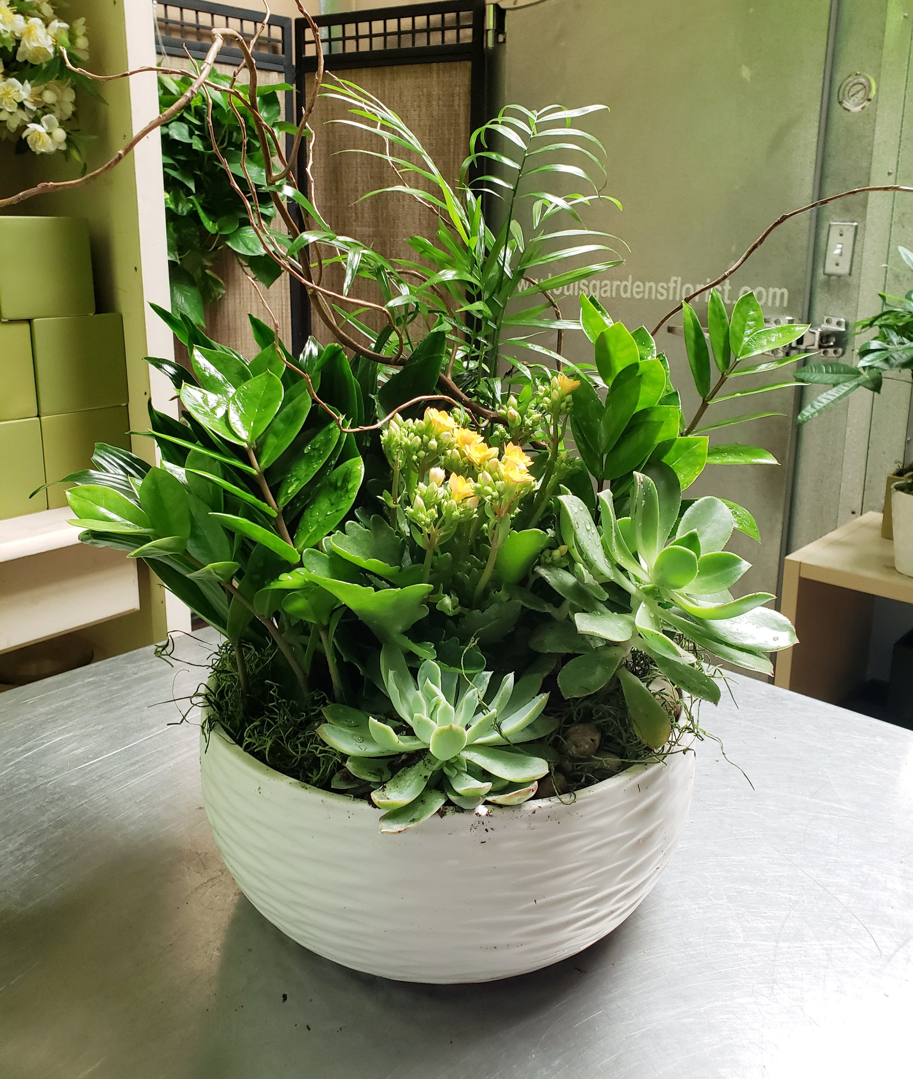 Succulent and tropical plant arrangement in a white bowl planter with yellow blooms