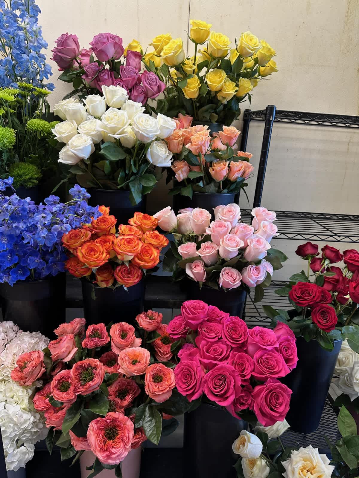 Assorted rose bouquets in black buckets with blue delphinium and white hydrangeas