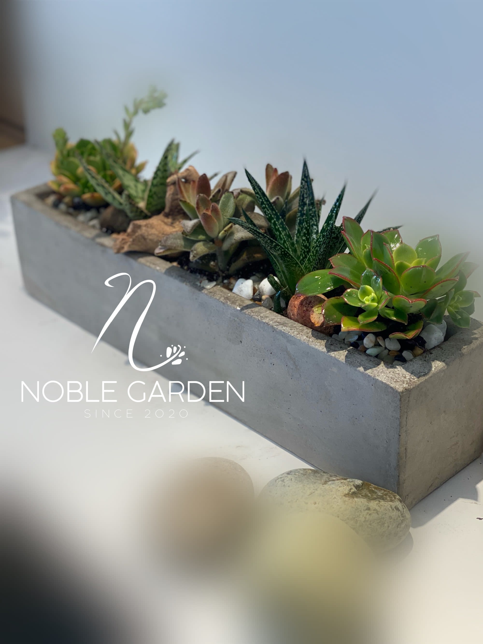 Rectangular concrete planter with assorted succulents and pebbles