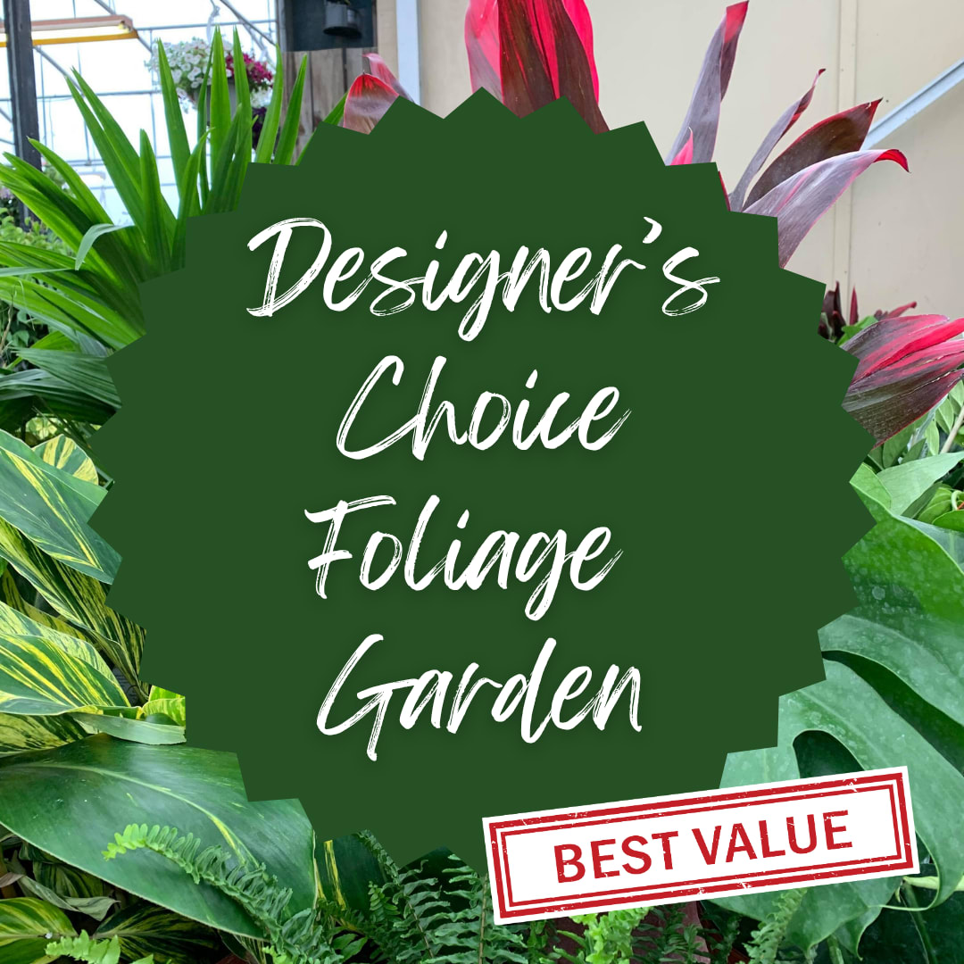 Designer’s choice foliage garden sign over tropical leaves